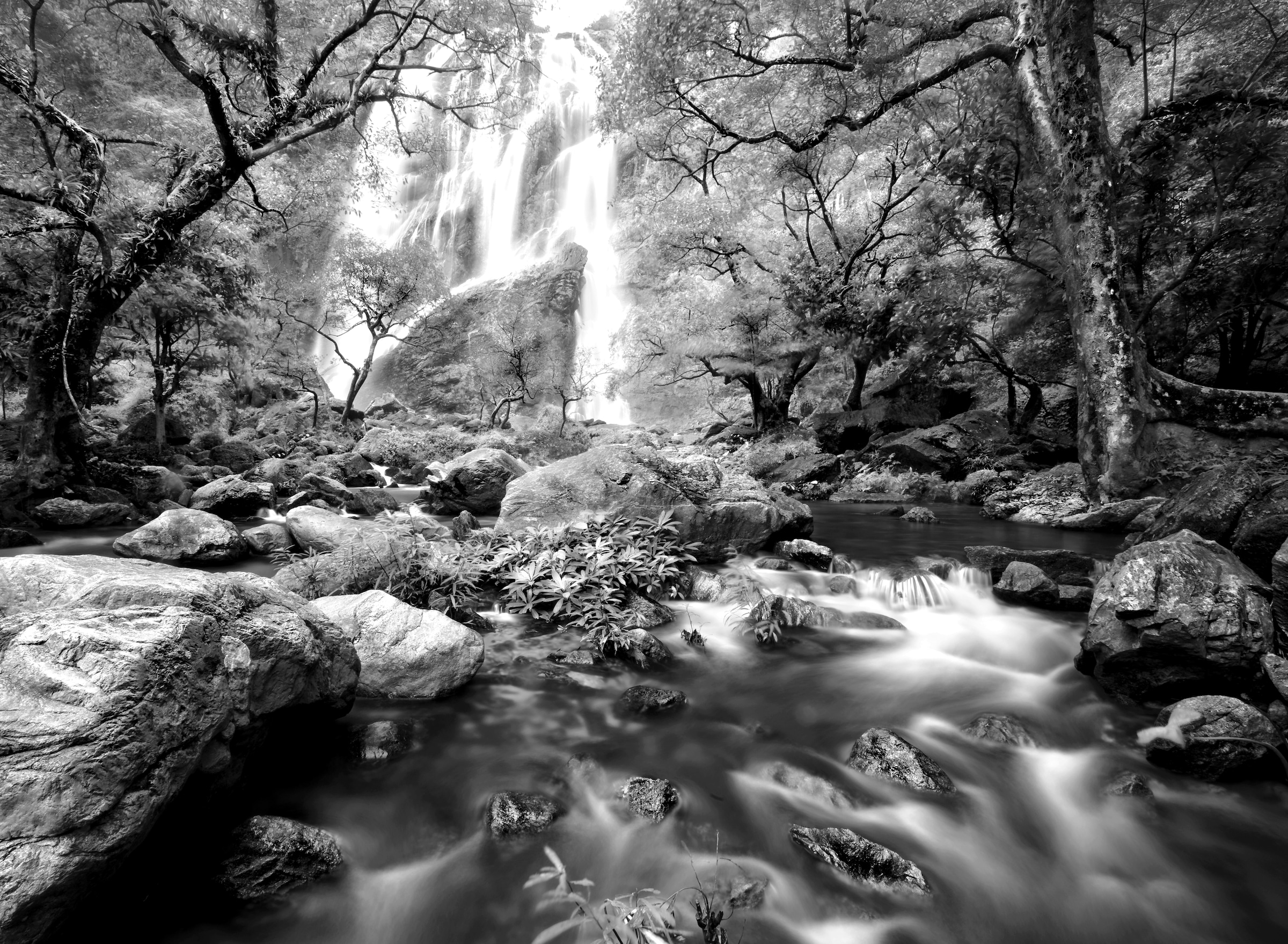 Papermoon Fototapete »Wasserfall im Wald Schwarz & Weiß« günstig online kaufen