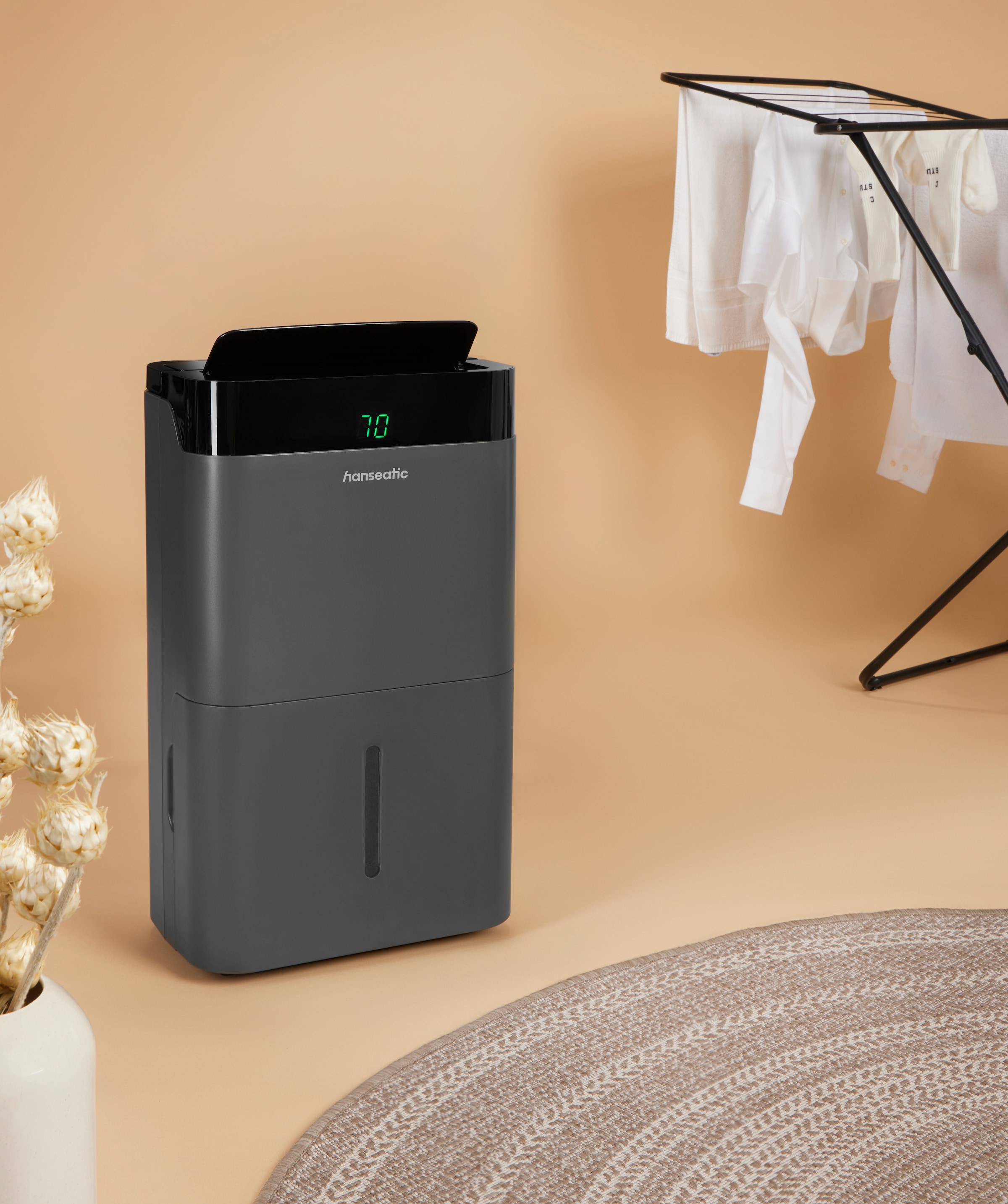 Hanseatic Luftentfeuchter »Hanseatic 20L, 2in1 Entfeuchtung & Luftreinigung« Entfeuchtung 20 l/Tag für Räume bis 40m², 5L Wassertank