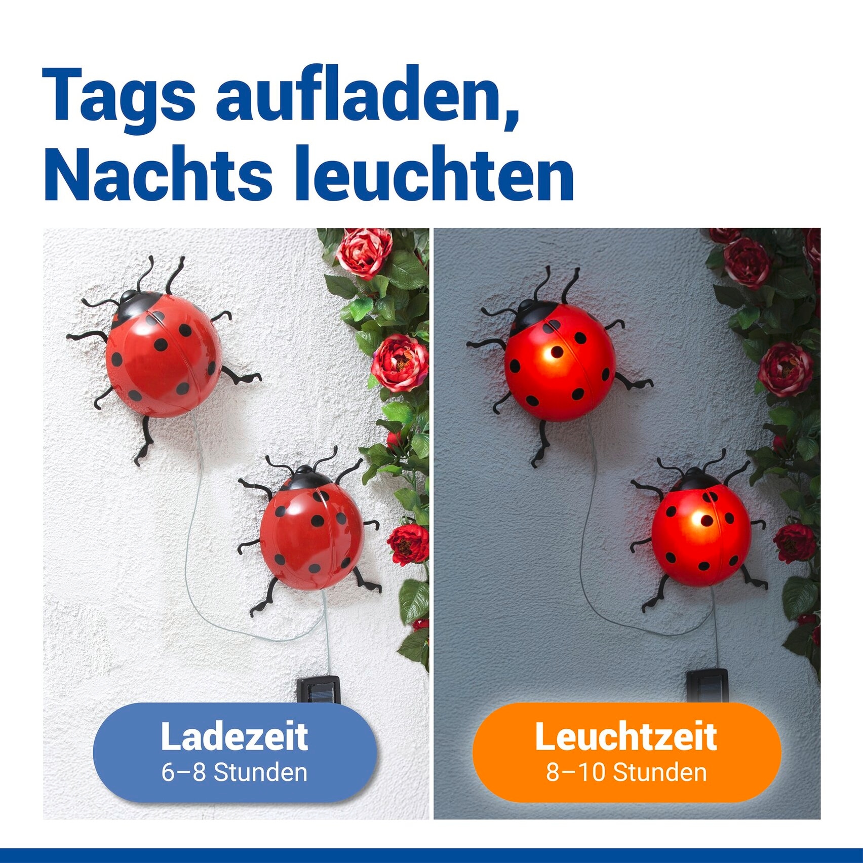 Maximex LED Gartenleuchte »Modell Marienkäfer« Warmweiß solarbetriebene Gartendekoration, leuchtet bis zu 10 Stunden