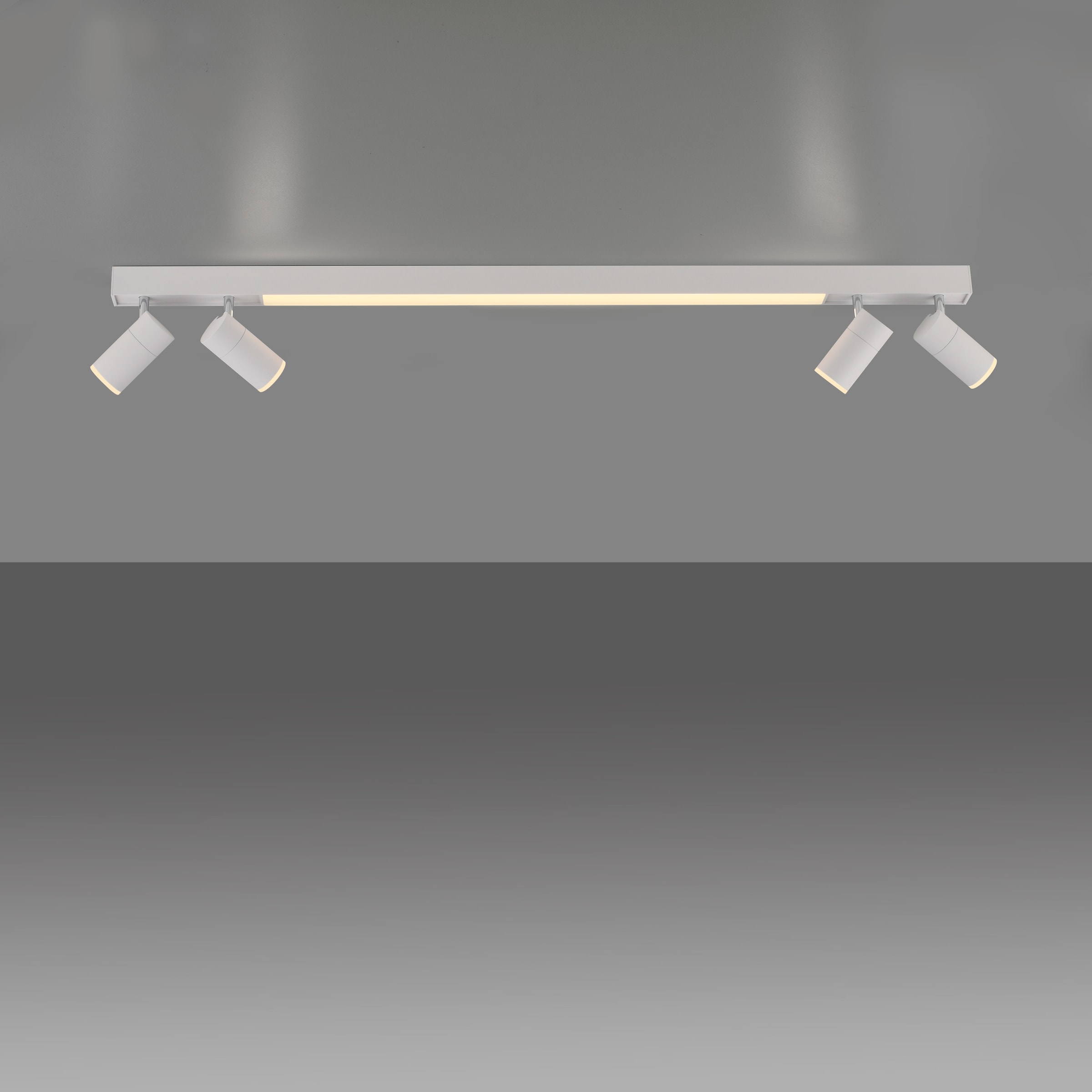 Neuhaus PURE LED Deckenleuchte »PURE Lines Spot« LED-Board 1 Stk. warmweiß - kaltweiß Spots dreh- &schwenkbar, CCT, dimmbar, Fernbedienung