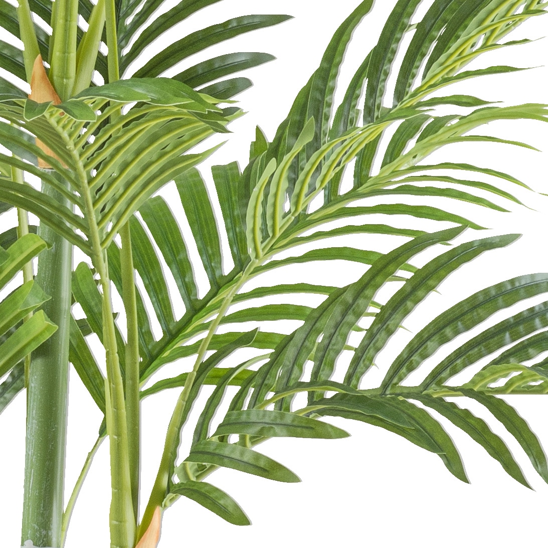 Creativ green Kunstpalme »Bambuspalme«, mit zahlreichen Wedeln