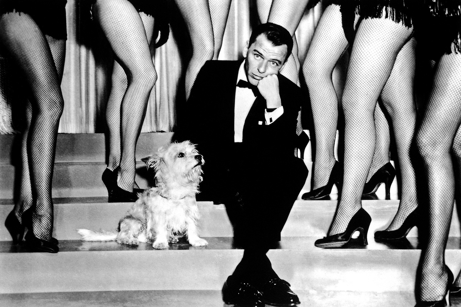 queence Acrylglasbild »Frank Sinatra«, Schwarz-Weiß-Mann-Stars-Hund-Portrai günstig online kaufen