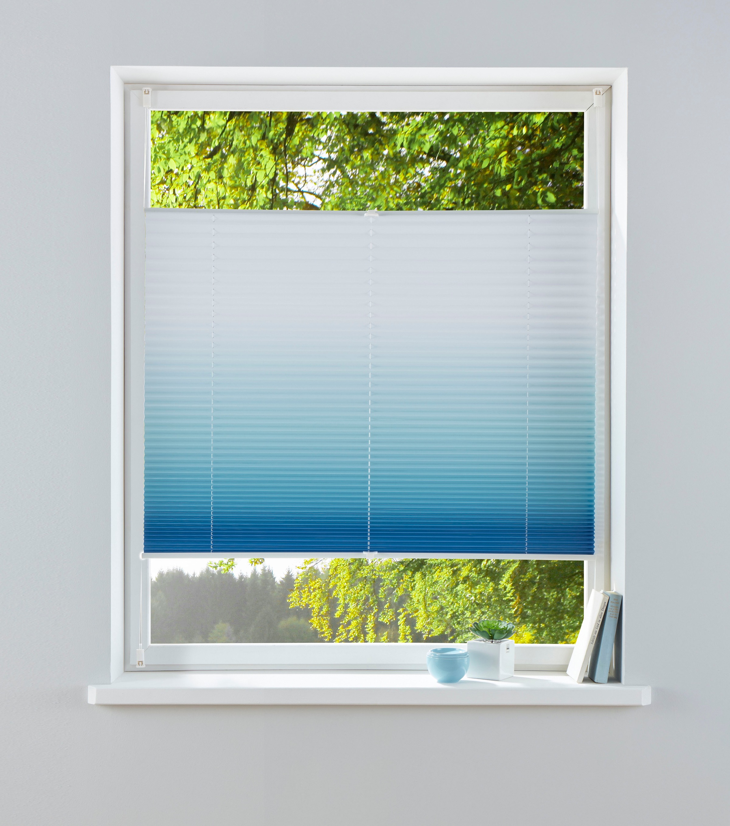 my home Plissee »Ombré«, Lichtschutz, ohne Bohren, verspannt, Fixmaß, Farbv günstig online kaufen