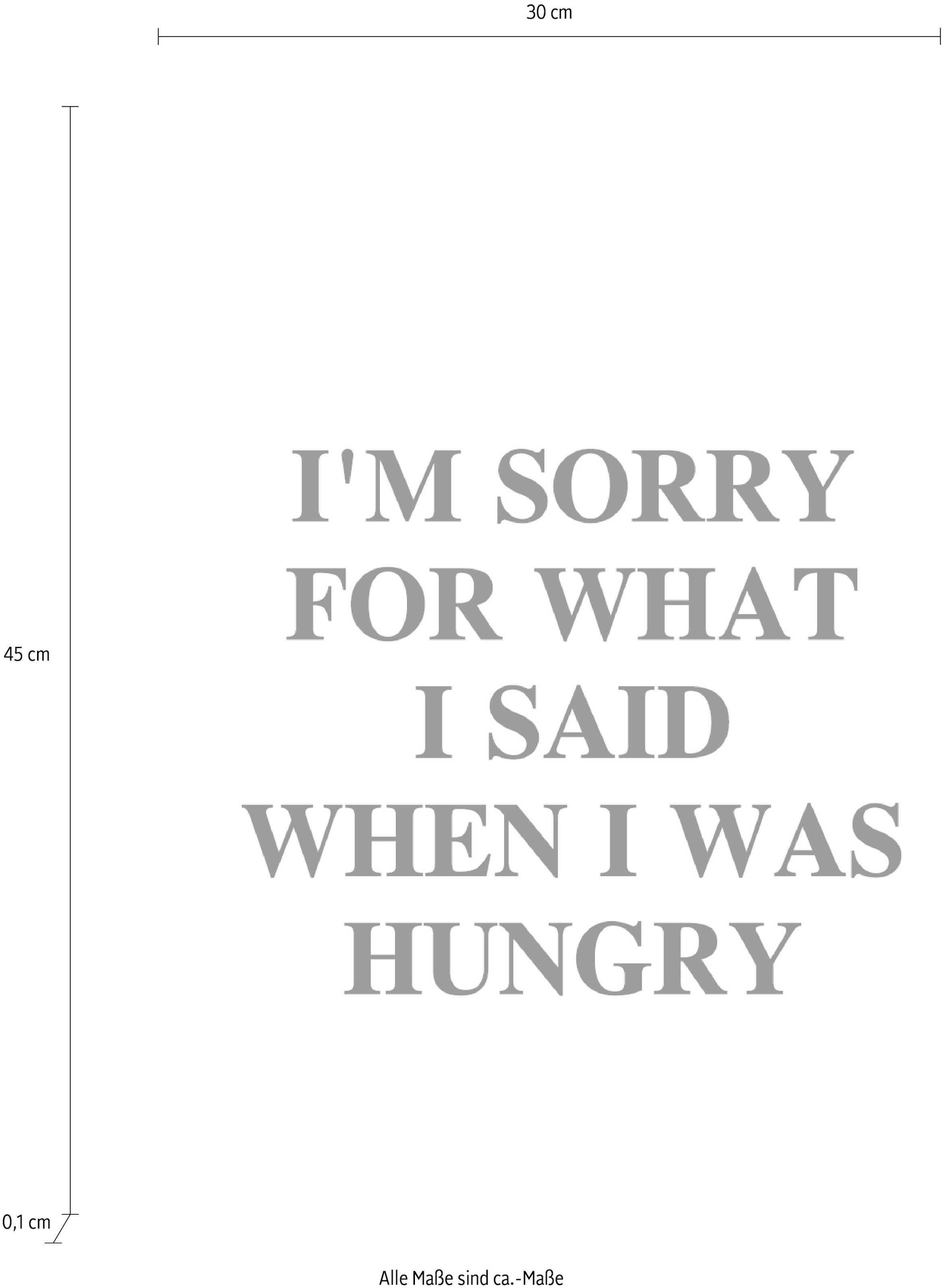 queence Wanddekoobjekt »I´m sorry for what I said ...«, Stahlschild, Blechschild, Spruch, Witzig, Wanddeko, retro, 20x30cm