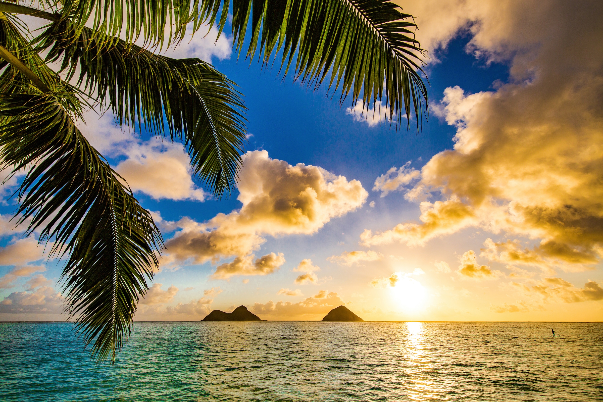 Papermoon Fototapete »STRAND-PALMEN SONNENUNTERGANG MEER KARIBIK INSEL PALM günstig online kaufen