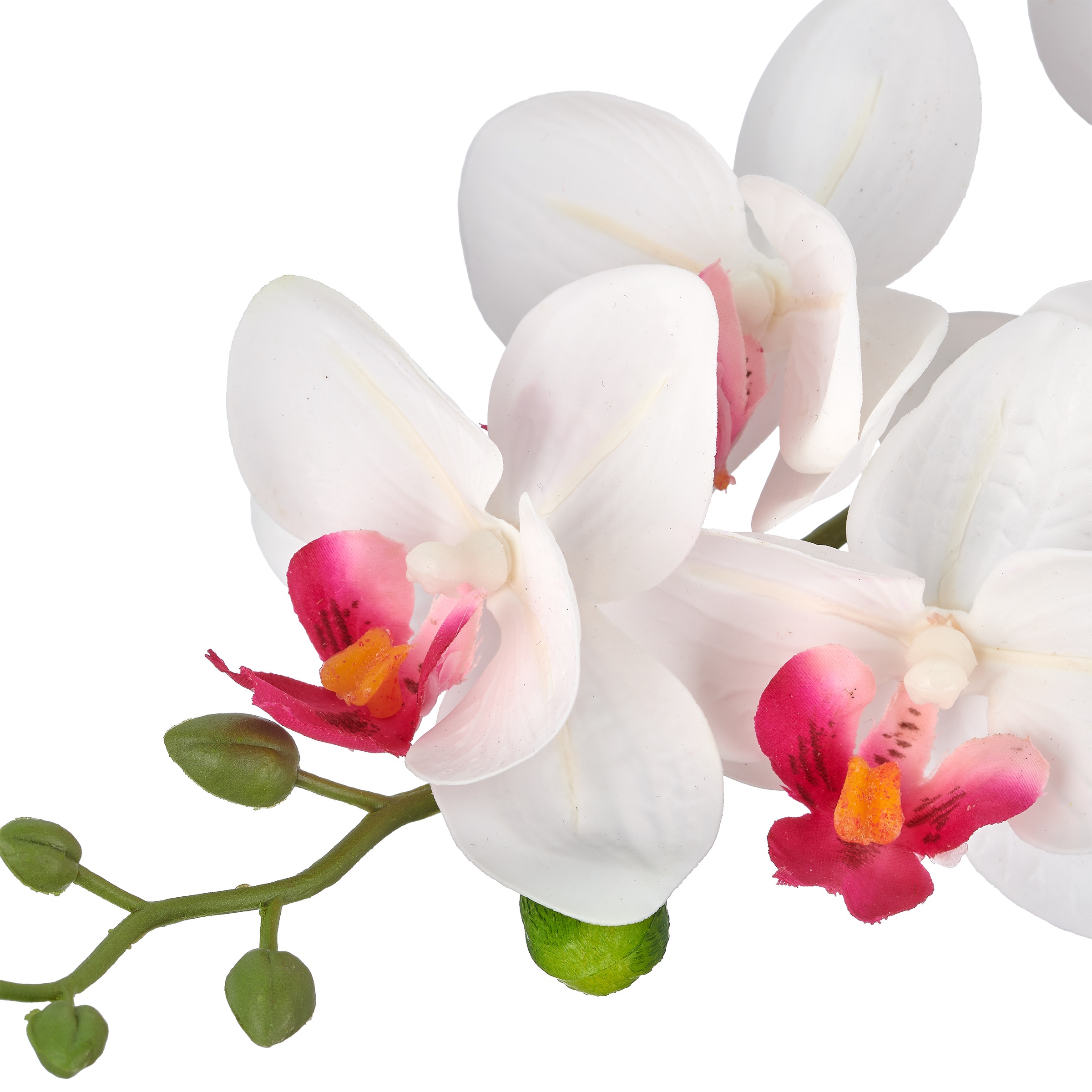 Creativ green Kunstorchidee »Phalaenopsis« mit drei Blütenstielen