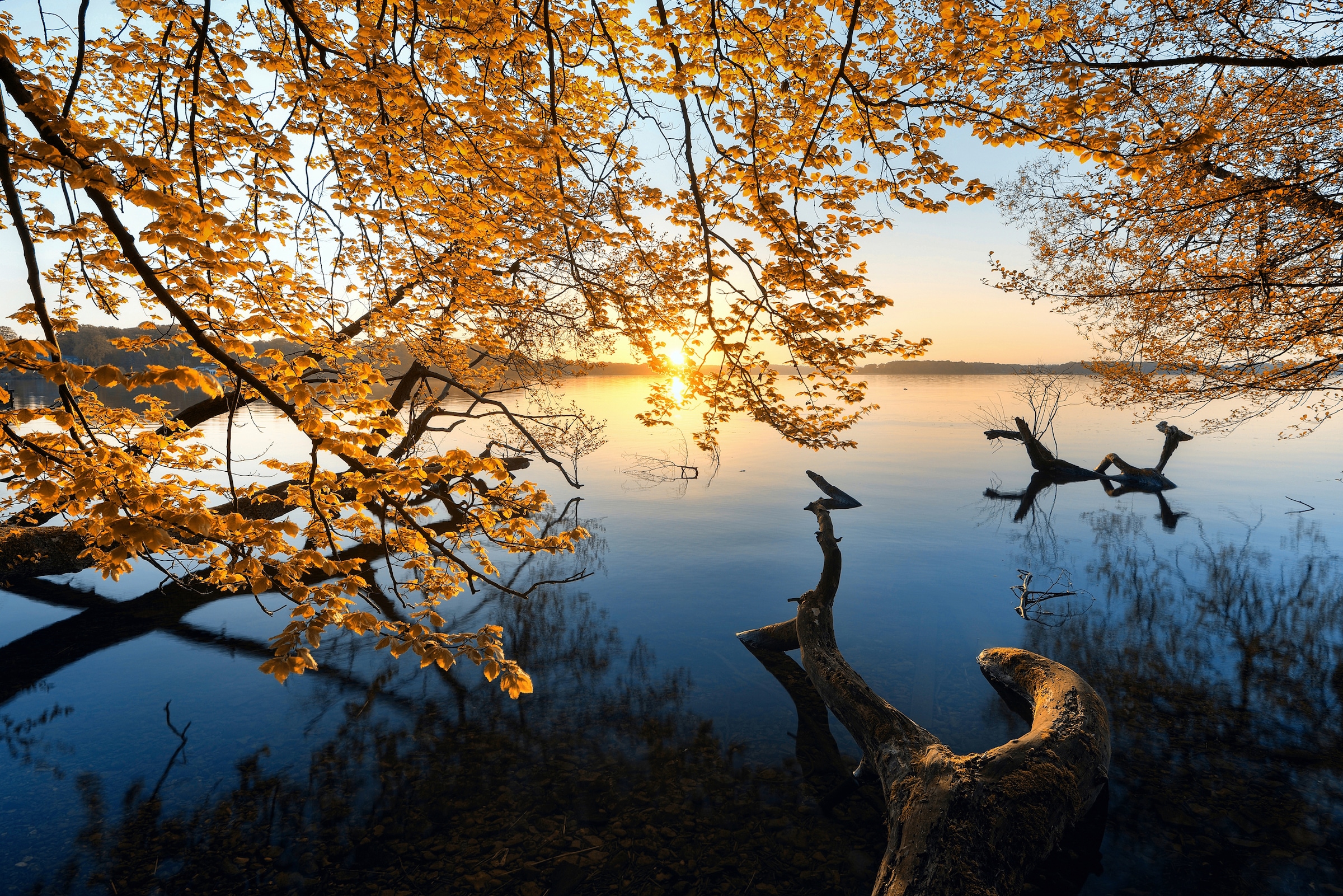 Papermoon Fototapete »Photo-Art KELLER, HERBSTMORGEN« günstig online kaufen