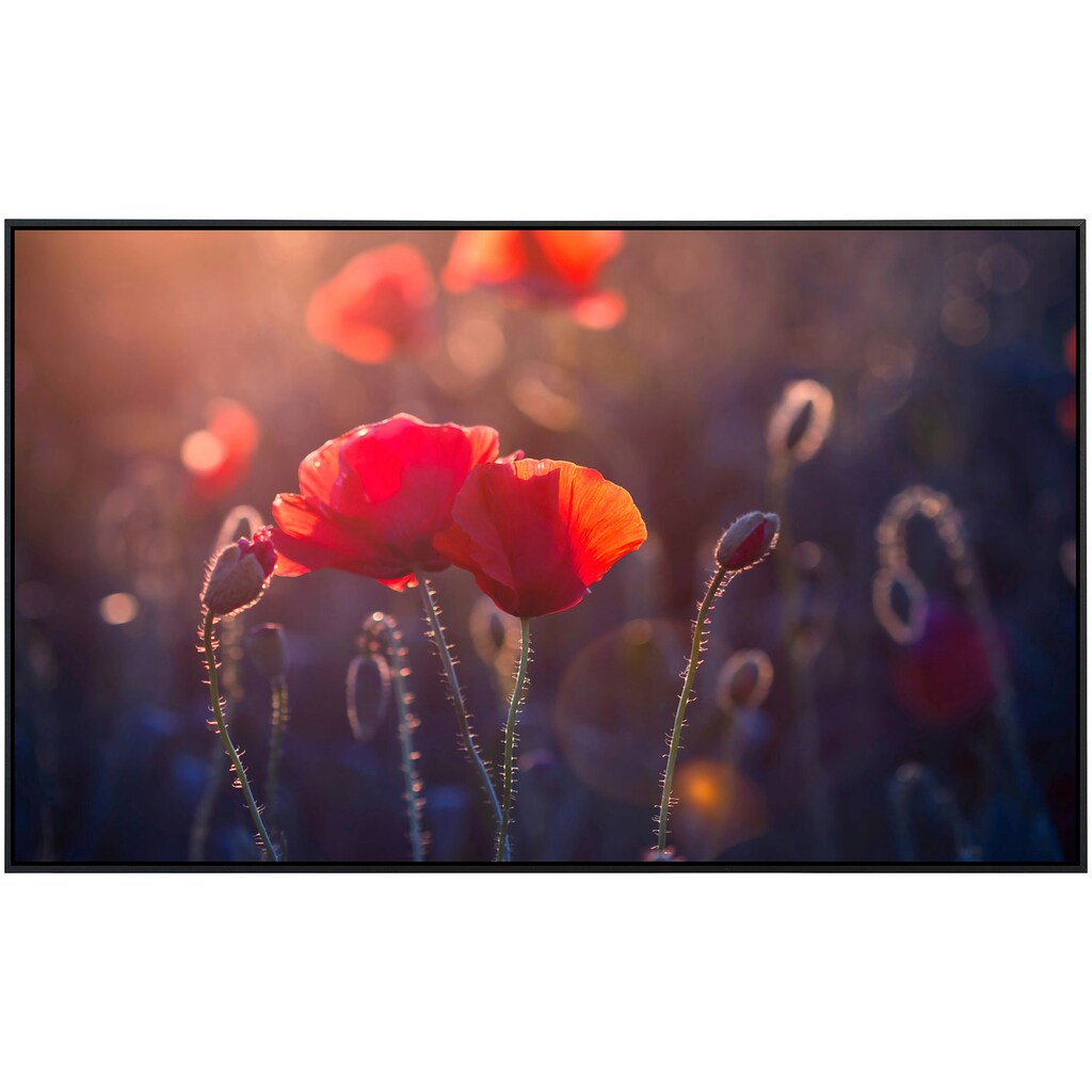 Papermoon Infrarotheizung »Blumen«, sehr angenehme Strahlungswärme