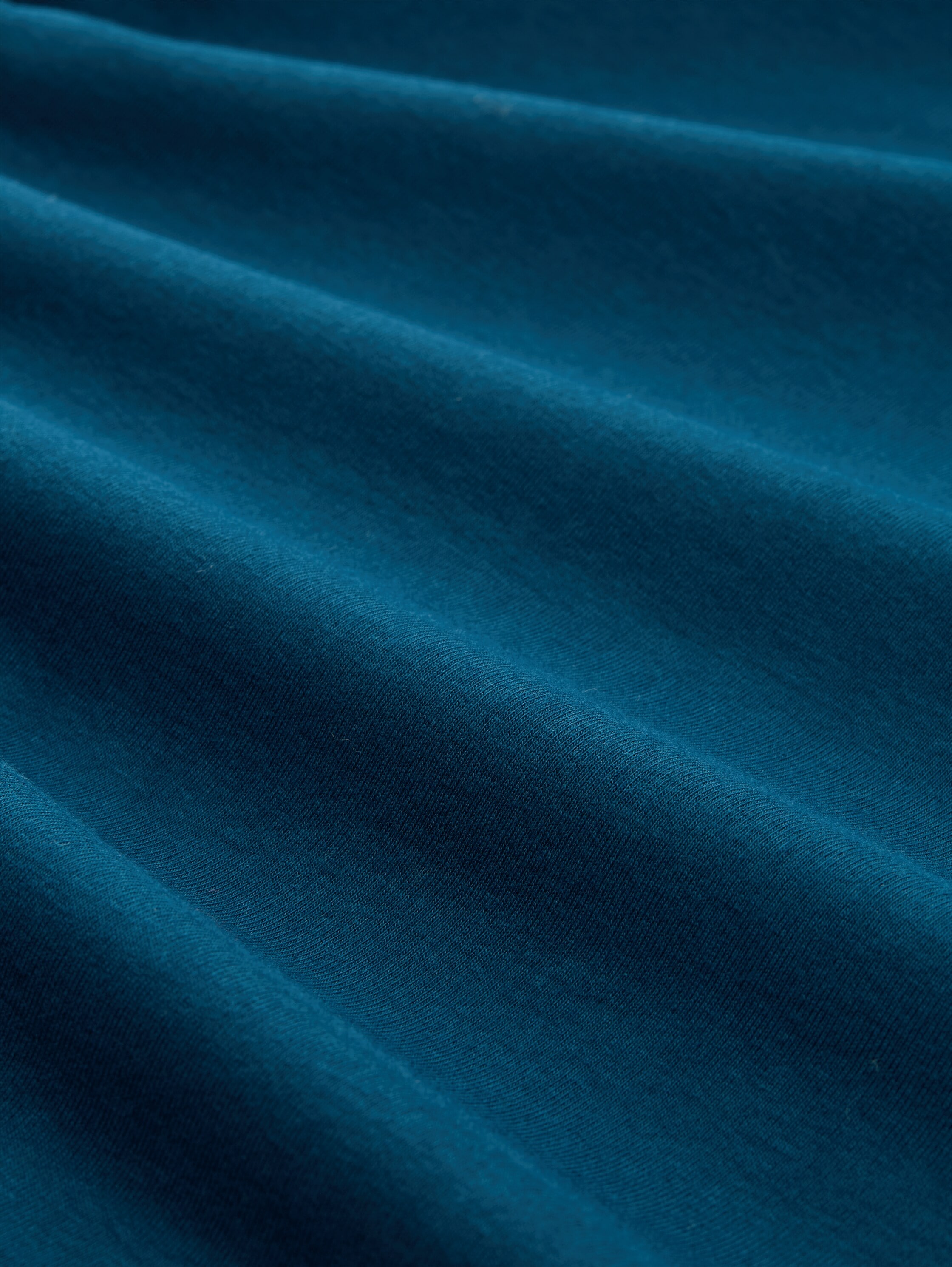 TOM TAILOR Rollkragenshirt, mit Rollkragen