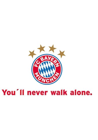 Wall-Art Wandtattoo »Fußball You'll never walk alone«, (1 St.) kaufen