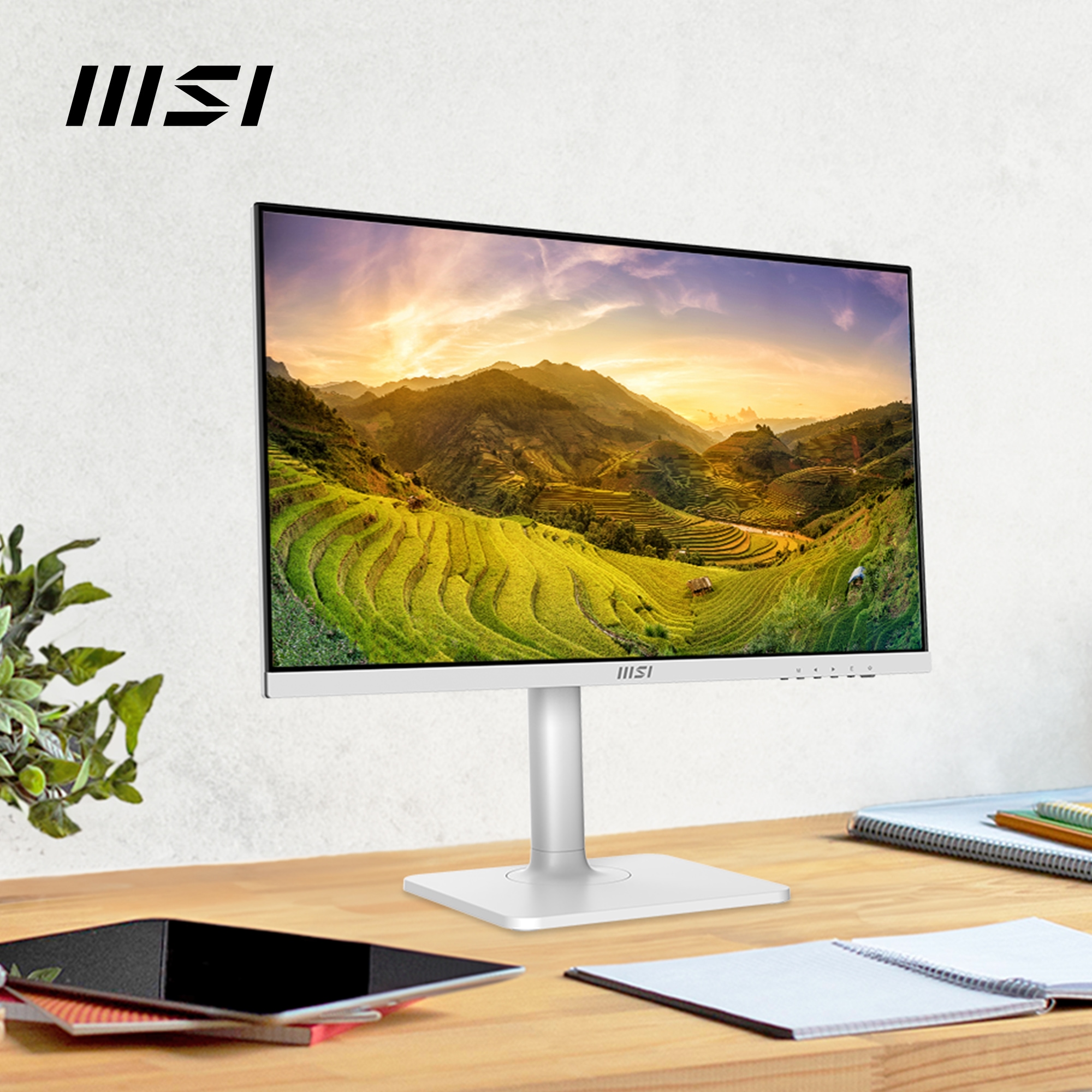 MSI LED-Monitor »Modern MD2412PW«, 60 cm/24 Zoll, 1920 x 1080 px, Full HD, 1 ms Reaktionszeit, 100 Hz, höhenverstellbar, 3 Jahre Herstellergarantie, USB-C