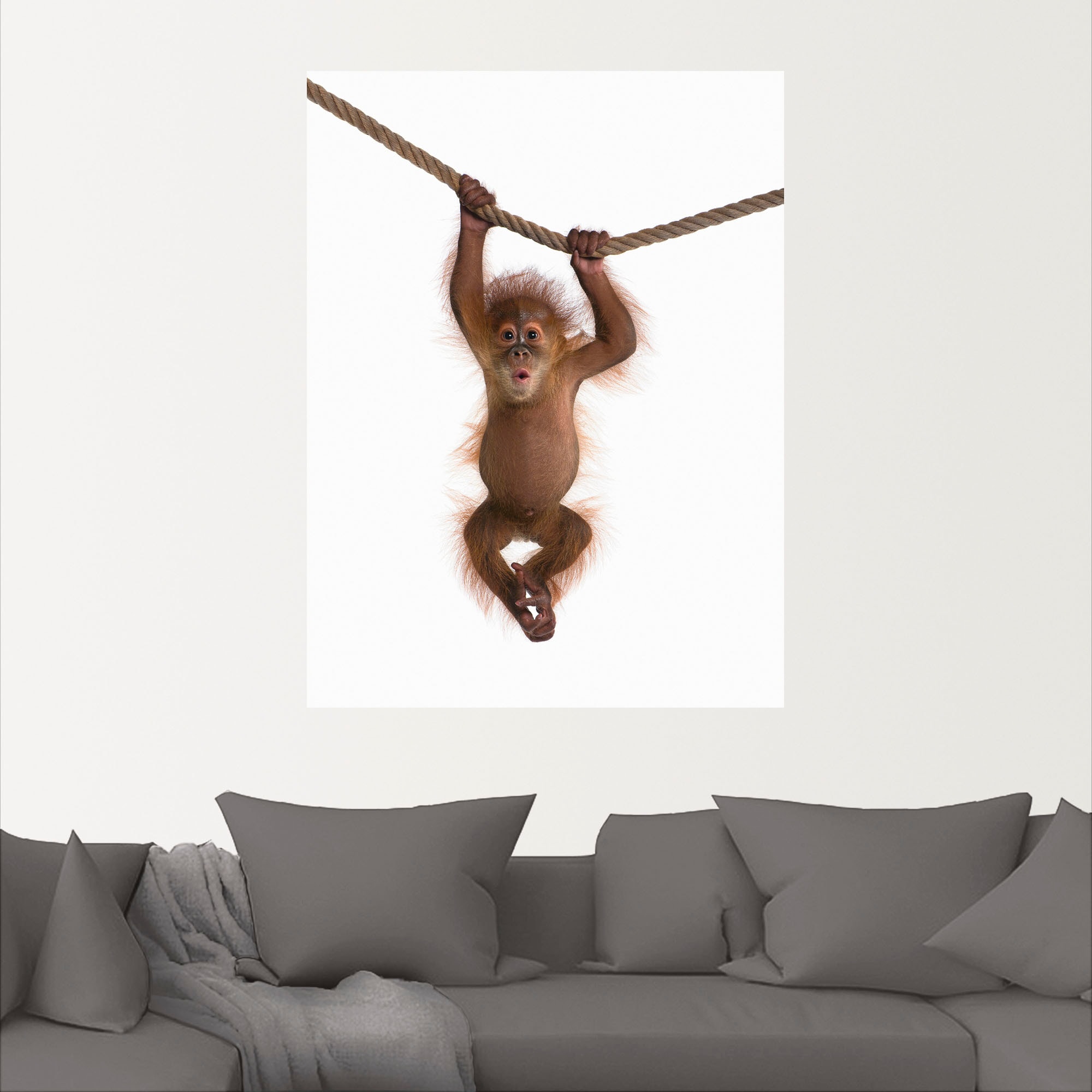 Artland Wandbild »Baby Orang Utan hängt an Seil II«, Wildtiere, (1 St.), al günstig online kaufen