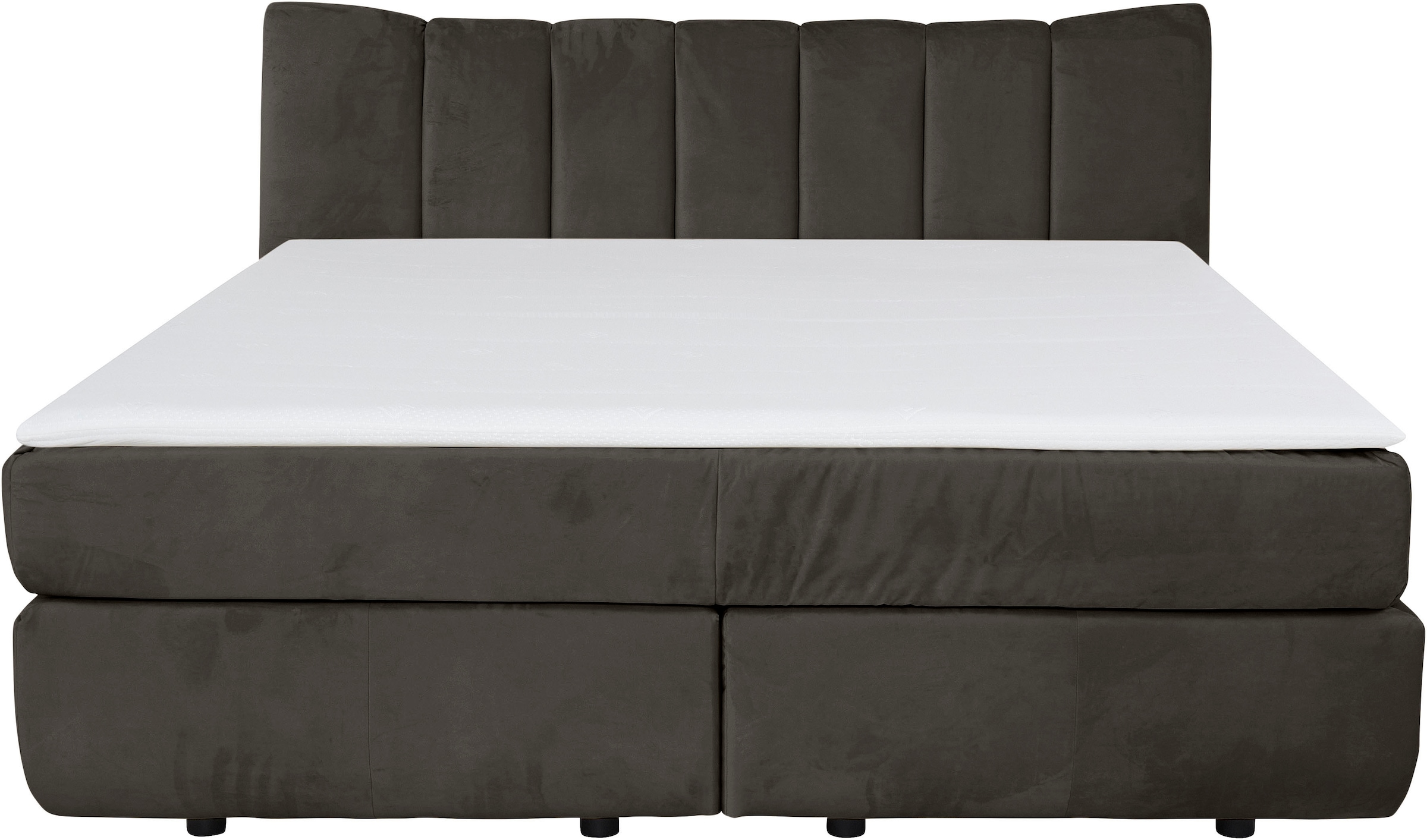 Home affaire Boxspringbett »Océane« Bodenfrei- wirkt freischwebend, verschi günstig online kaufen