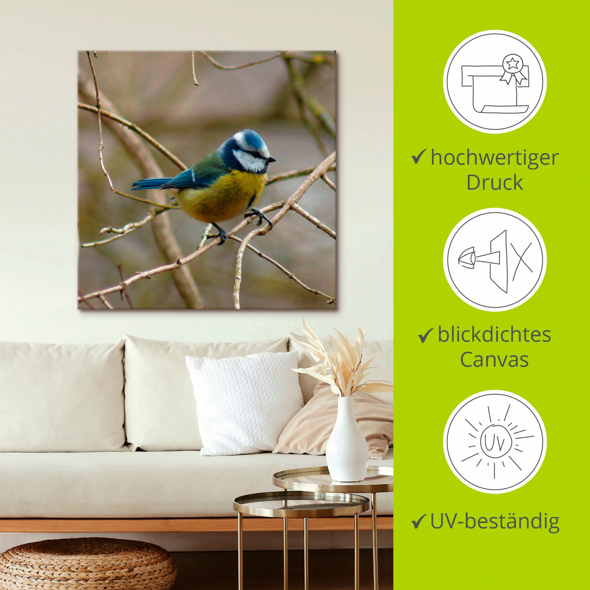 Artland Wandbild »Blaumeise« Vögel 1 Stk. tlg. auf Holzrahmen gespannt