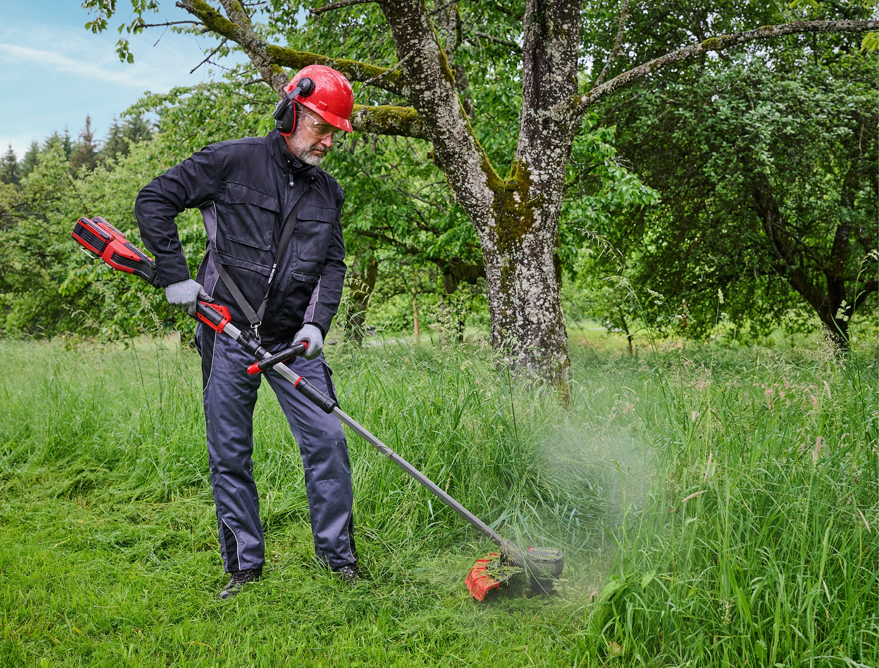 Einhell Akku-Motorsense »GP-BC 36/430 Li P BL-Solo« ohne Akku und Ladegerät