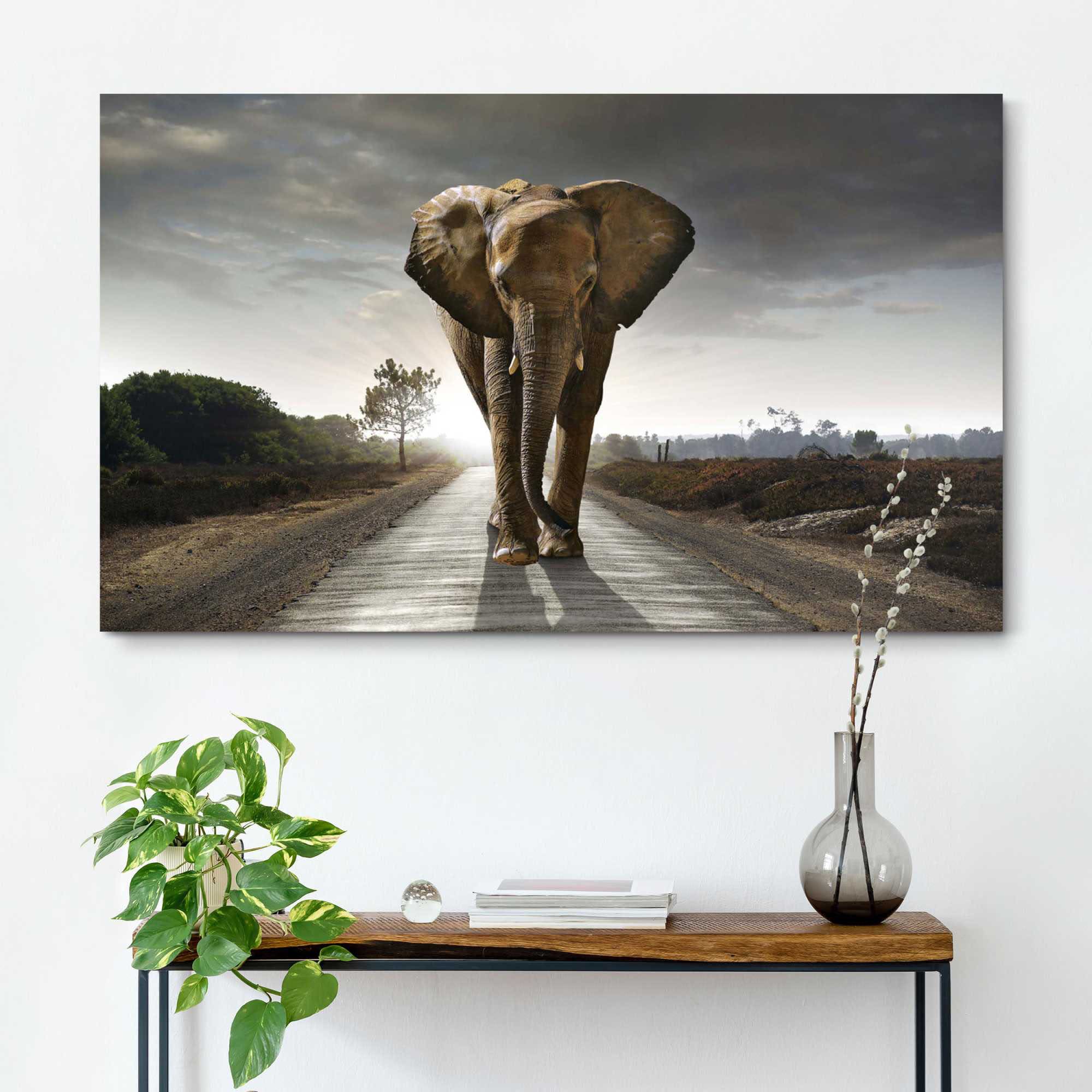 Reinders! Wandbild »Elefant König« bestellen Raten auf