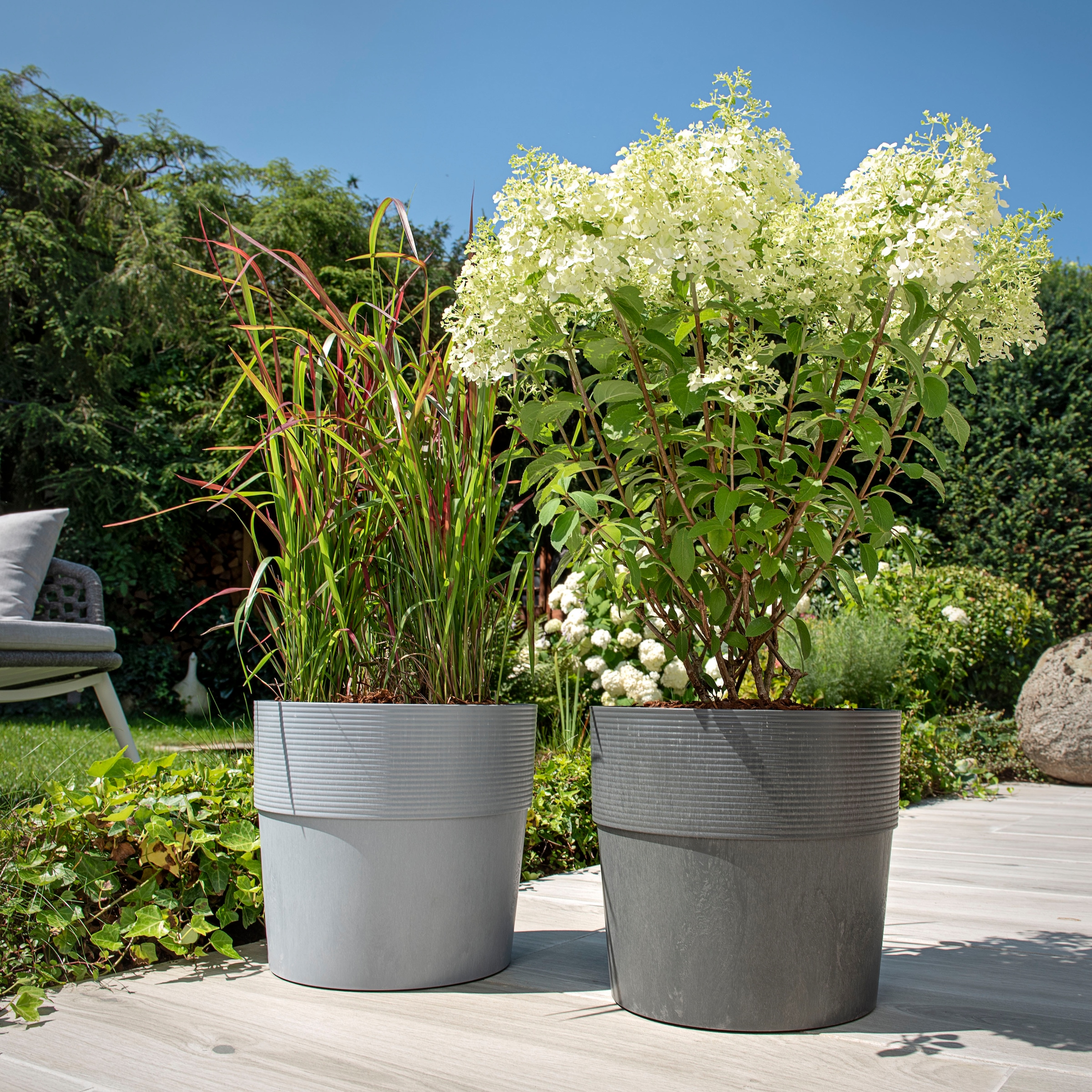 Scheurich Blumentopf »30/266 GROOVE+«