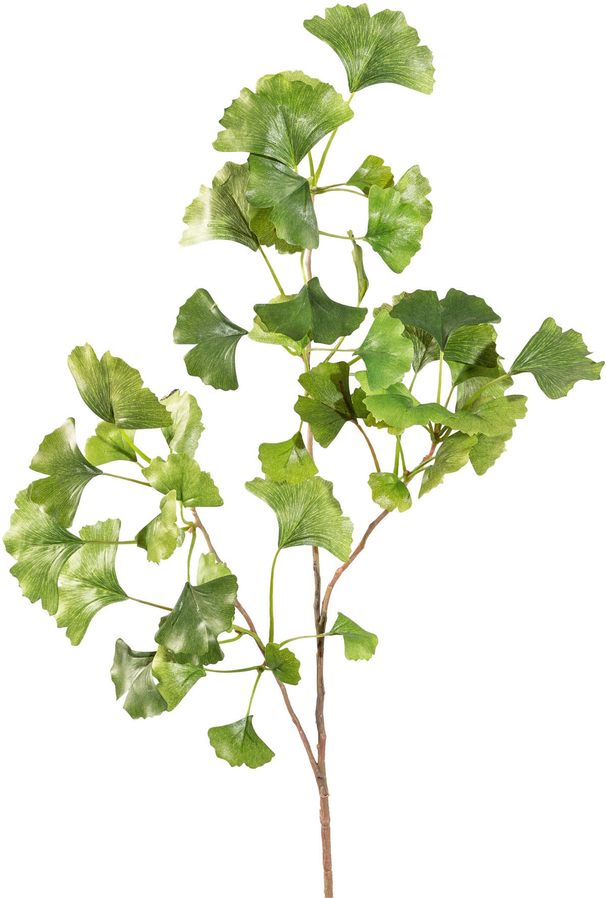 Creativ green Kunstzweig »Gingkozweig«