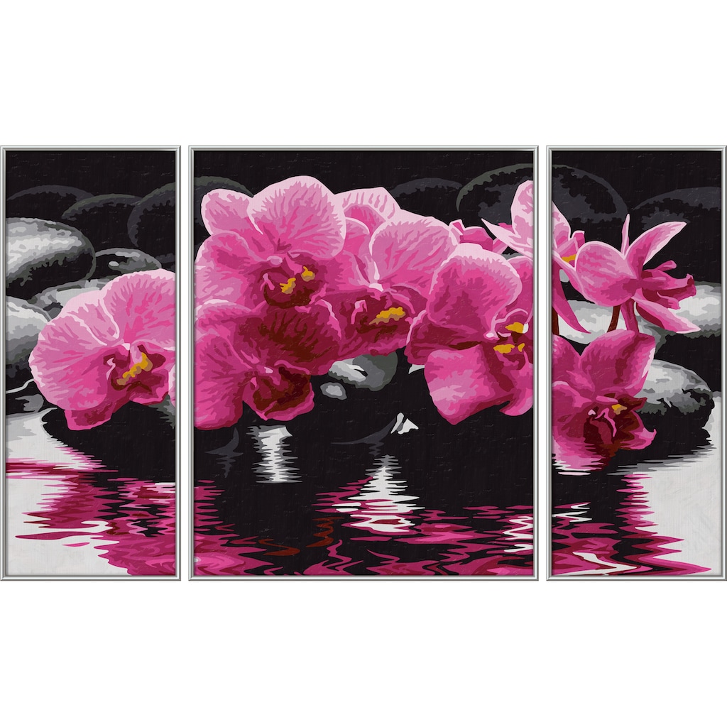 Schipper Malen nach Zahlen »Meisterklasse Triptychon - Orchideen«