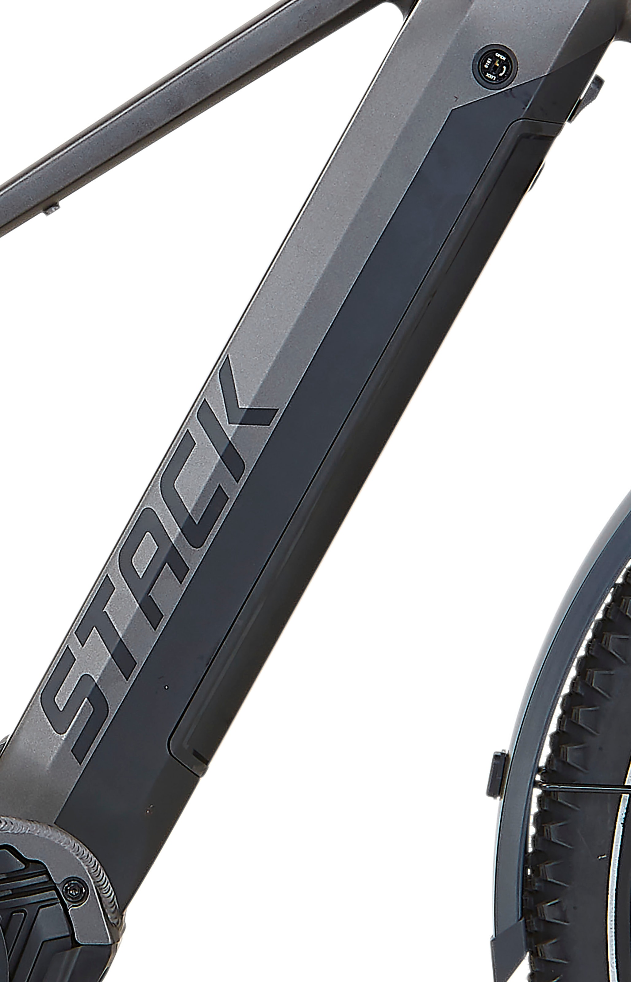 Prophete E-Bike »Stack 5.8«, 10 Gang, Shimano, Deore, Mittelmotor 250 W