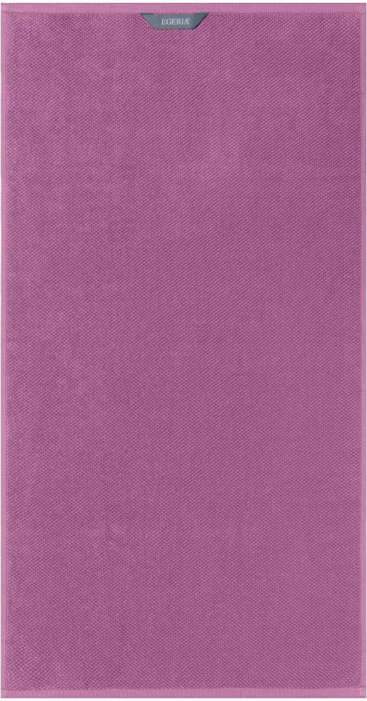 Egeria Handtücher »BOSTON«, (2 St., 2er Set Handtücher 50 x 100 cm), neues günstig online kaufen