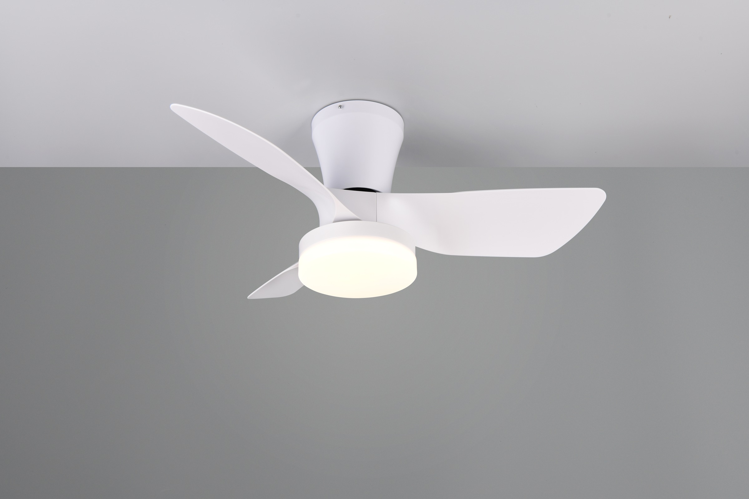 REALITY Leuchten LED Deckenleuchte »RANDERS mit Ventilator, Deckenventilator mit Licht inkl Fernbedienung«, 1 flammig, Leuchtmittel LED-Board | LED fest integriert, 6 Geschwindigkeiten Timer Vor- & Rücklauf LED dimmbar CCT Nachtlicht