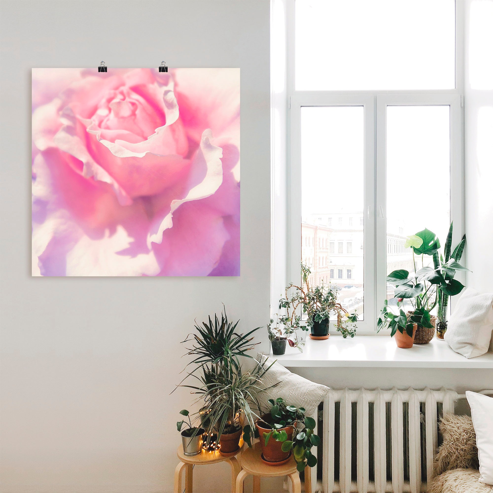 Artland Wandbild "Rosa", Blumen, (1 St.), als Leinwandbild, Poster, Wandauf günstig online kaufen