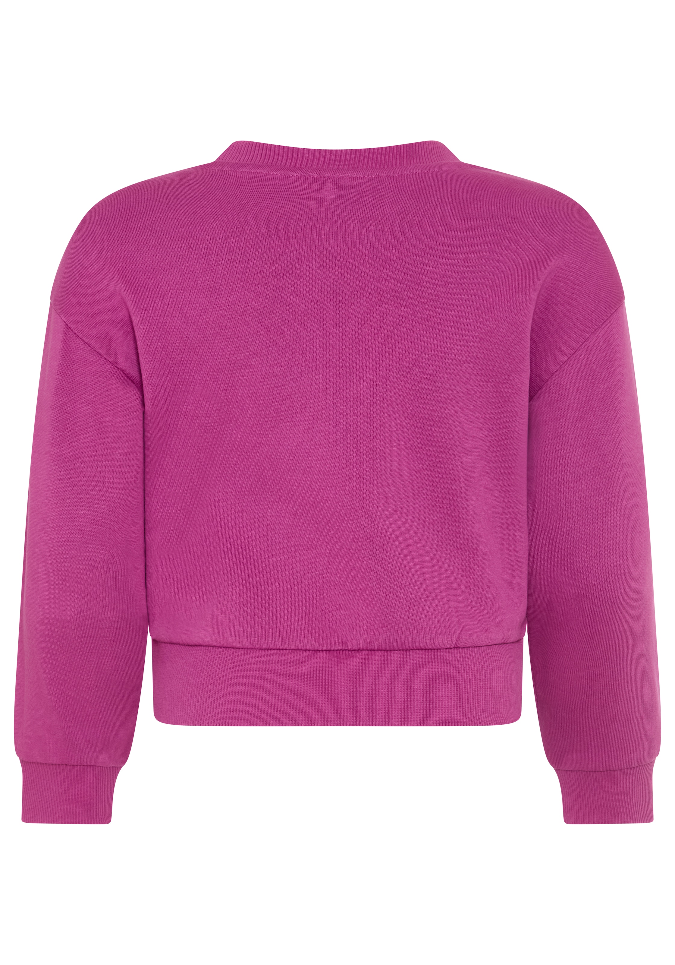 KIDSWORLD Sweatshirt »Einhorn-Applikation für kleine Mädchen«, Sweatshirt  mit schimmernden Pailletten-Applikationen
