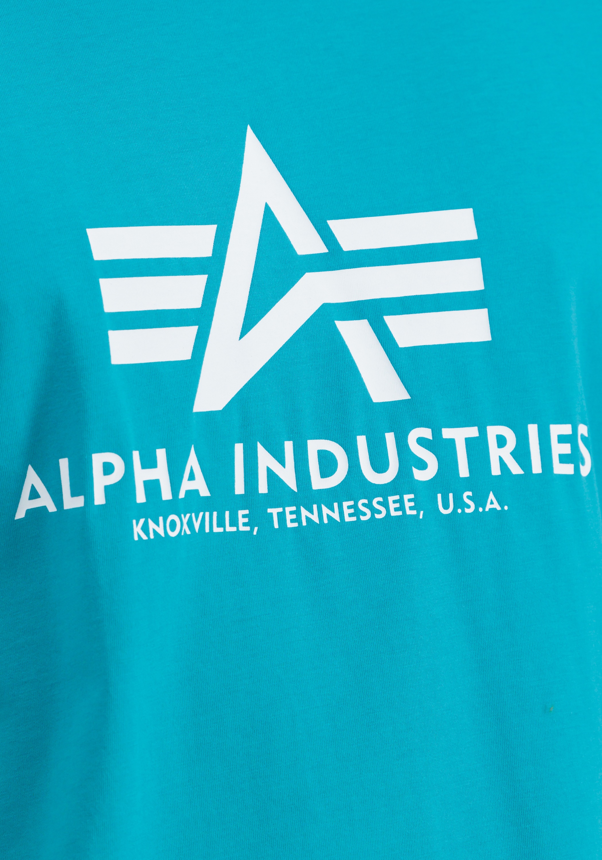 Alpha Industries T-Shirt »Basic T-Shirt BL«