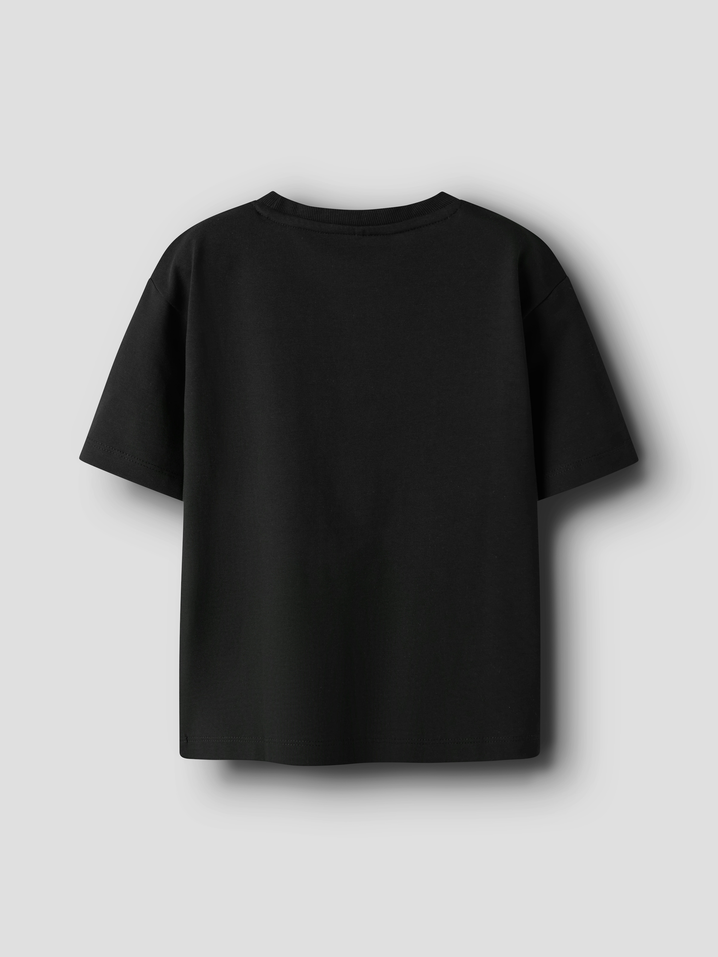 Name It T-Shirt »NKFGREGA SS NREG TOP NOOS«