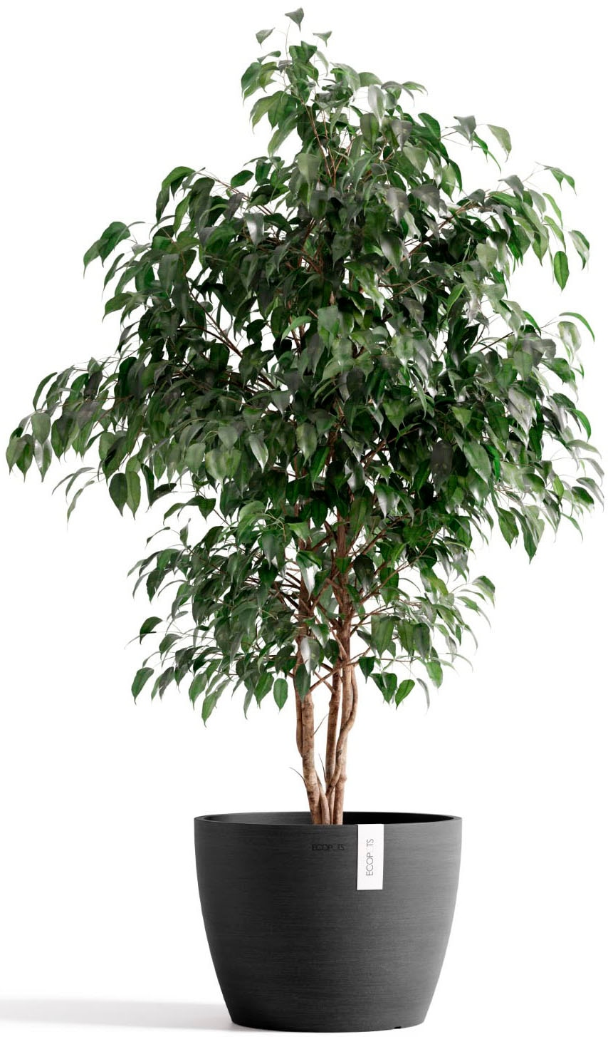 ECOPOTS Blumentopf »Stockholm 31 Dunkelgrau« für innen und außen: frostsicher, bruchsicher und lichtbeständig