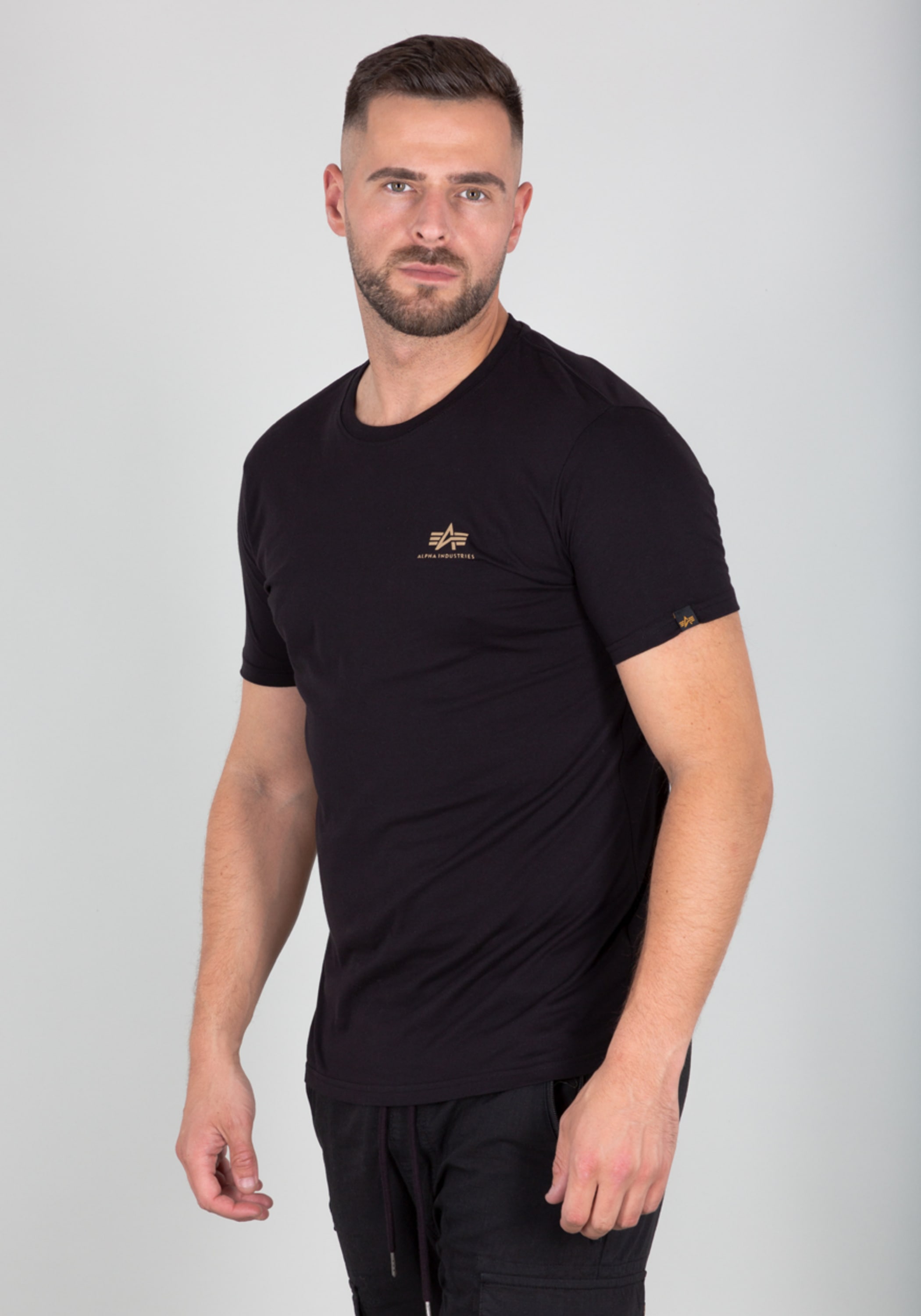 Alpha Industries T-Shirt »Backprint T-Shirt Camo Print«