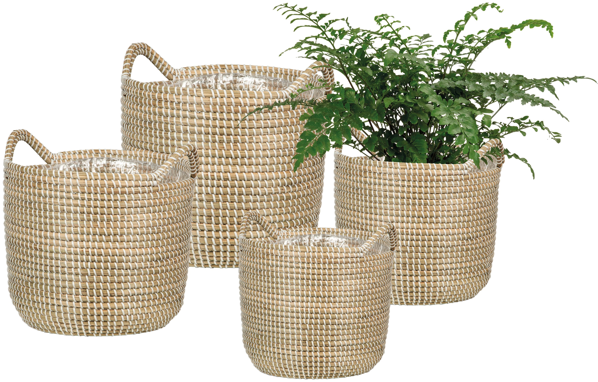 Scheurich Blumentopf »white 36/514«