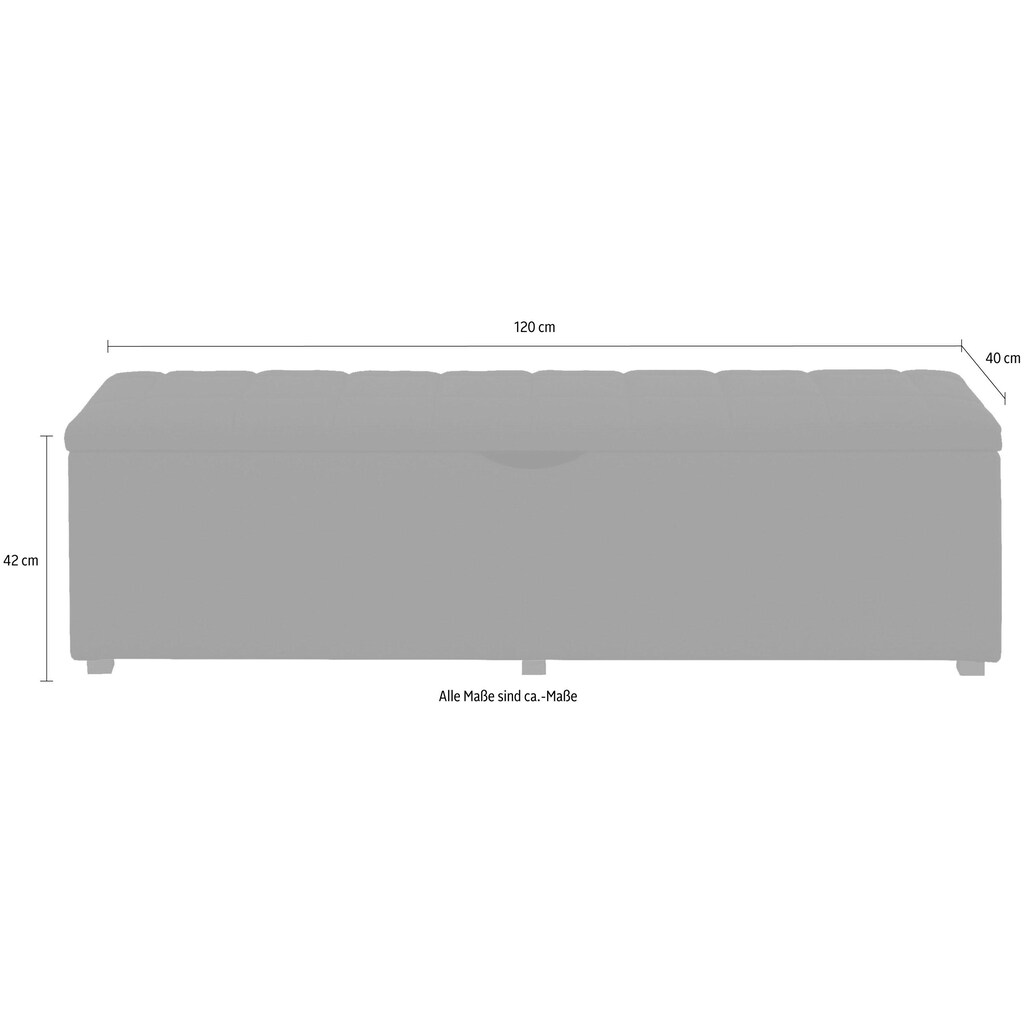 Places of Style Hockerbank »Checked«, mit Stauraum, Breite 120 cm und 160 cm, als Bettbank geeignet