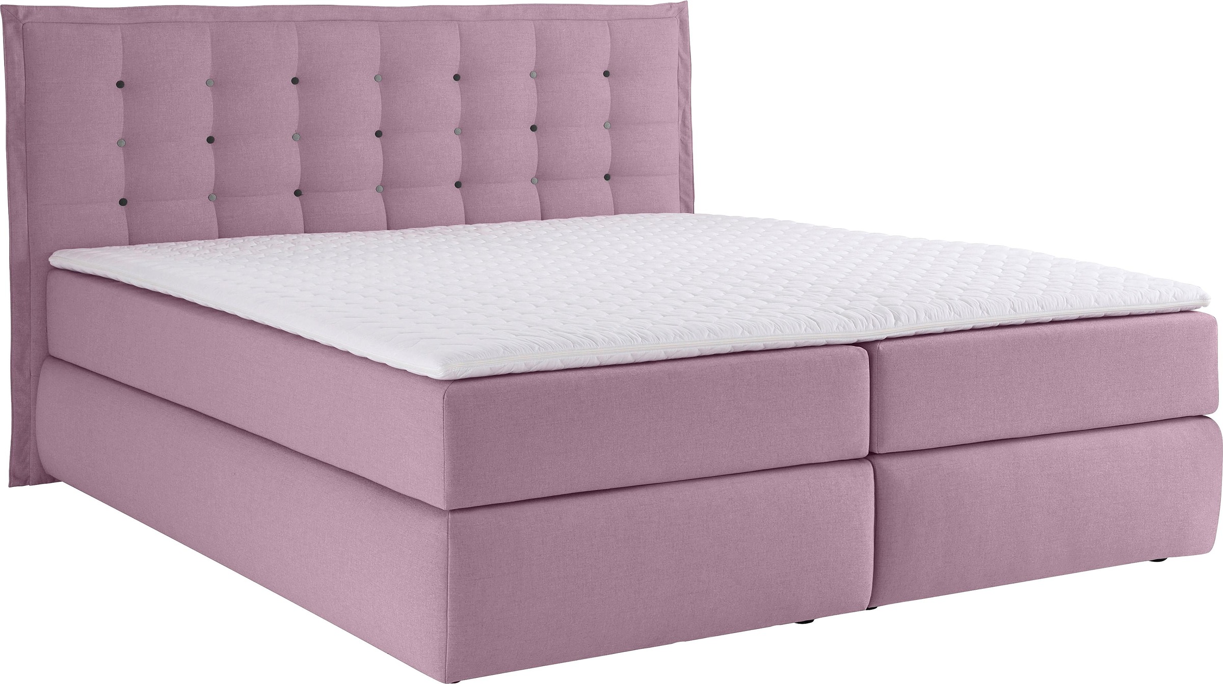 INOSIGN Boxspringbett »Sagres«, Kopfteil mit 2farbiger Flatterbiese und zweifarbigen Knöpfen