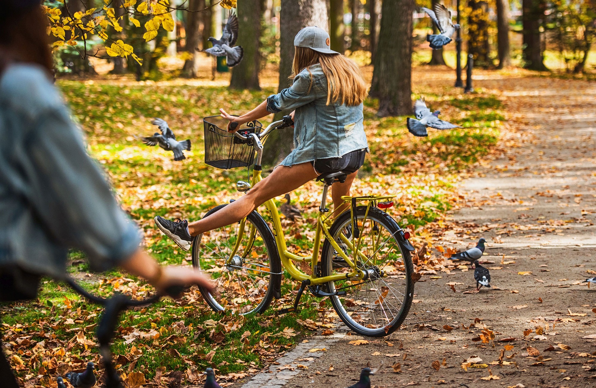 2. Bild von SIGN Cityrad, 3 Gang, Shimano, NEXUS SG-3C41 Schaltwerk, für Damen und Herren