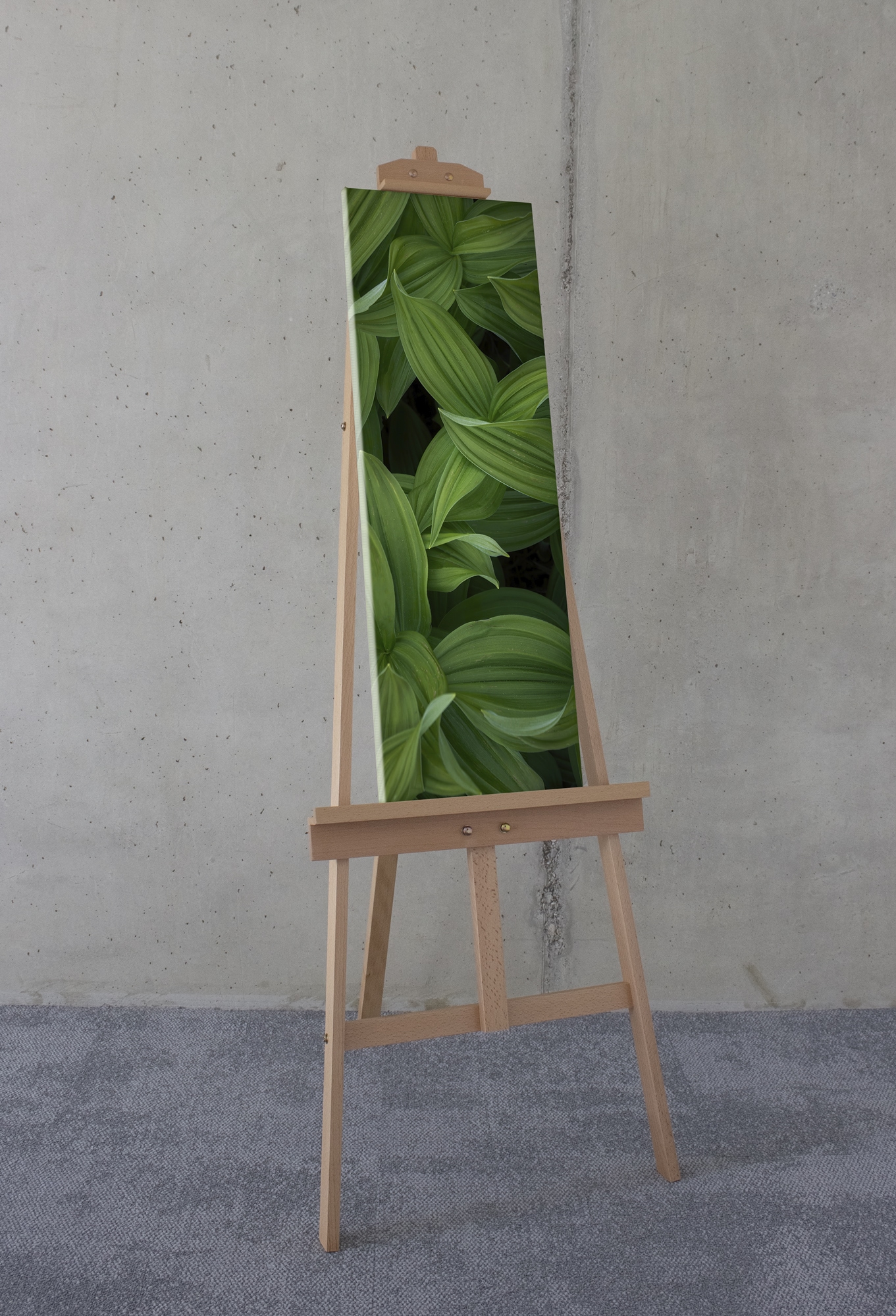 Komar Leinwandbild »Ancilla - Größe 30 x 90 cm«, Natur, (1 St.), Keilrahmenbild mi Echtholzrahmen