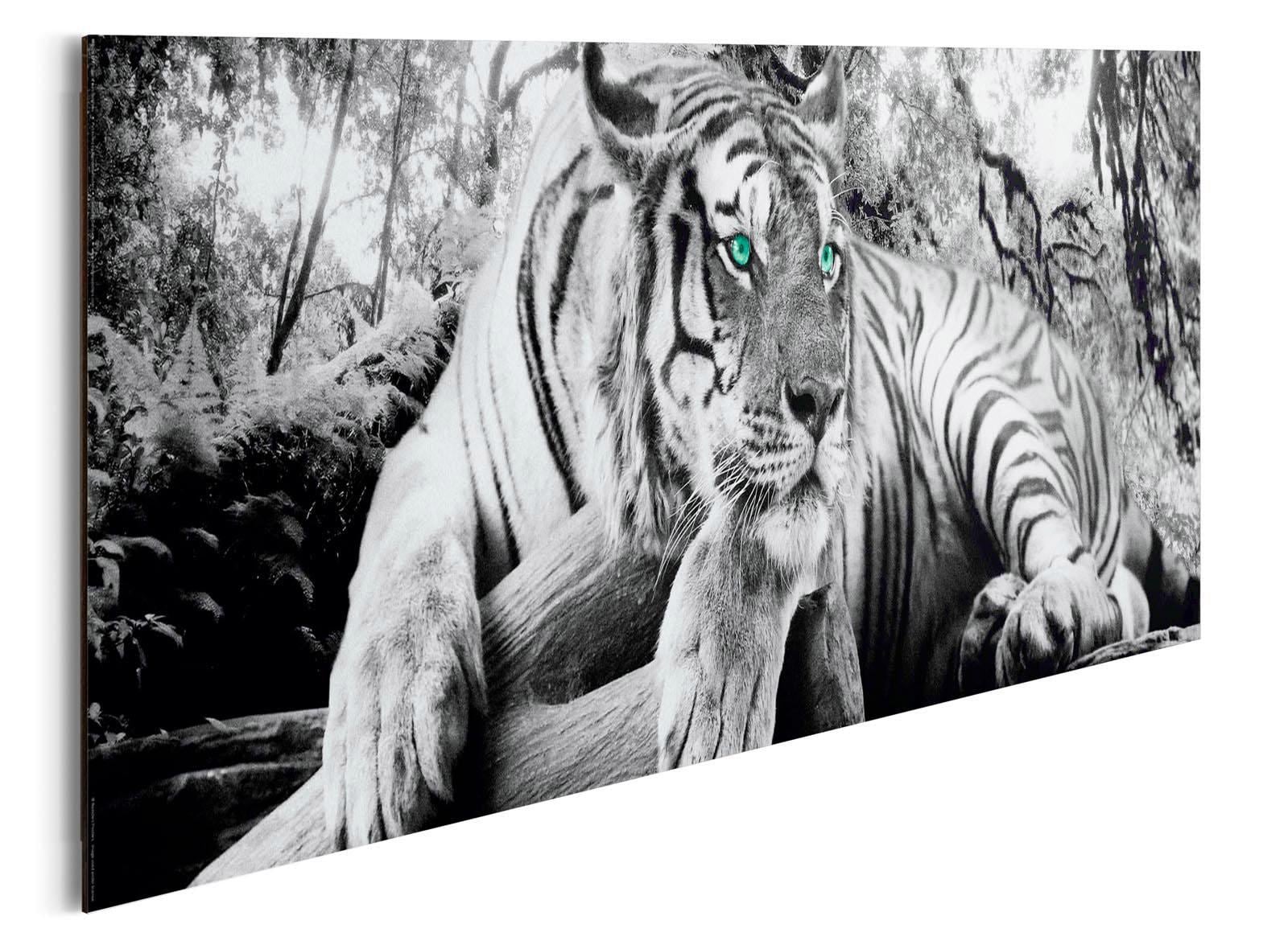 Home bestellen affaire Deco-Panel »Tiger dich online guckt an«