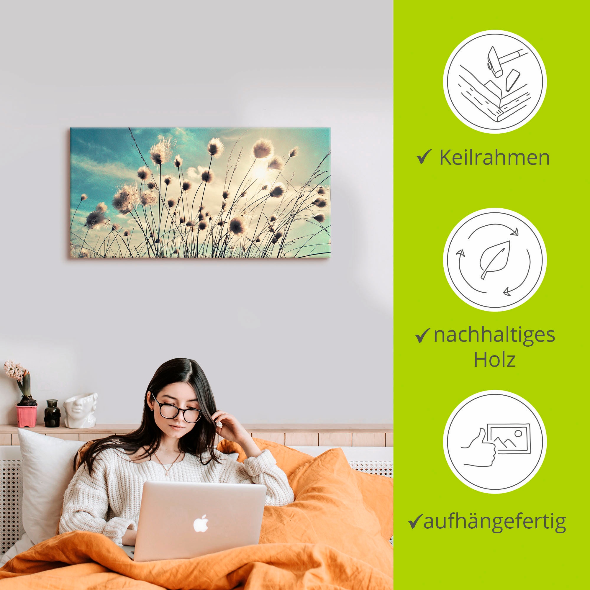 Artland Wandbild »Wollgras«, Gräser, (1 St.), als Alubild, Outdoorbild, Leinwandbild, Poster, Wandaufkleber