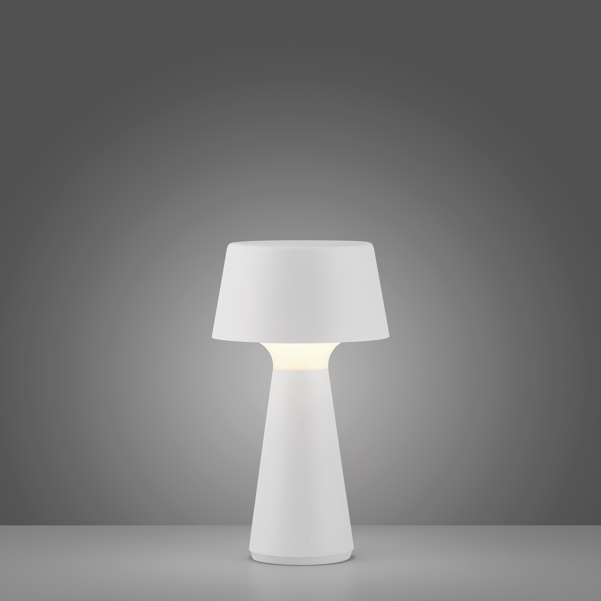 JUST LIGHT Tischleuchte »ABERA«, 1 flammig, Leuchtmittel LED-Modul | LED fest integriert, Akkuleuchte