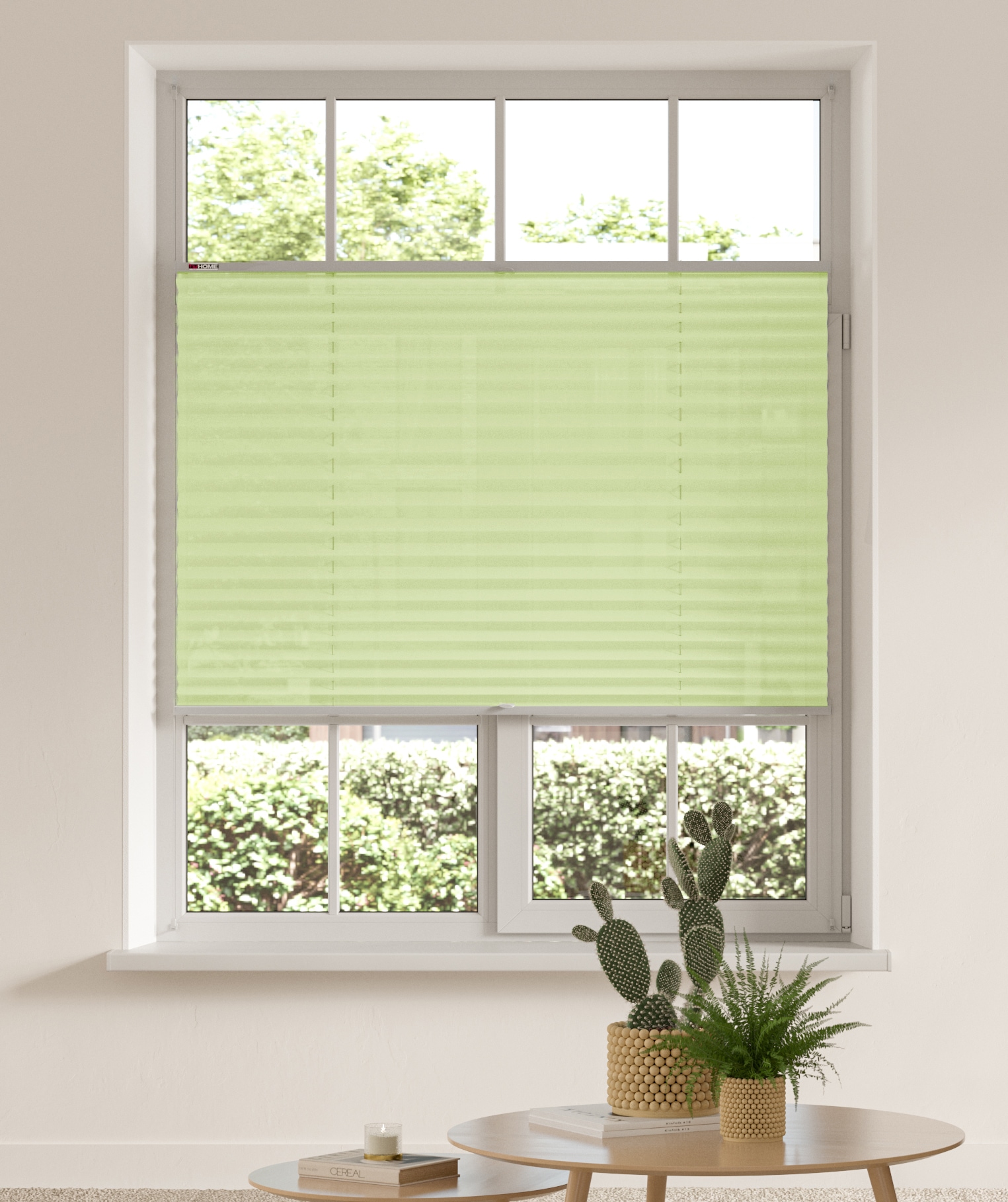 my home Plissee »LAHOLM«, Lichtschutz, ohne Bohren, verspannt, Fixmaß, Klem günstig online kaufen