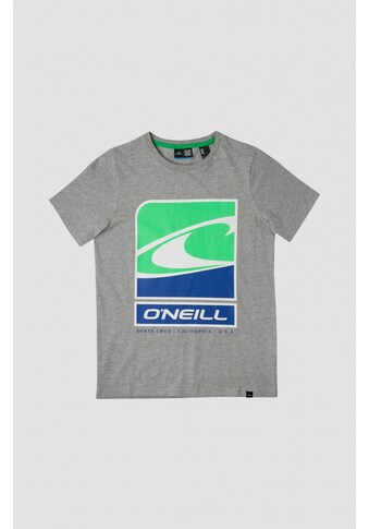 O'Neill T-Shirt »Flag Wave Ss T-Shirt« kaufen