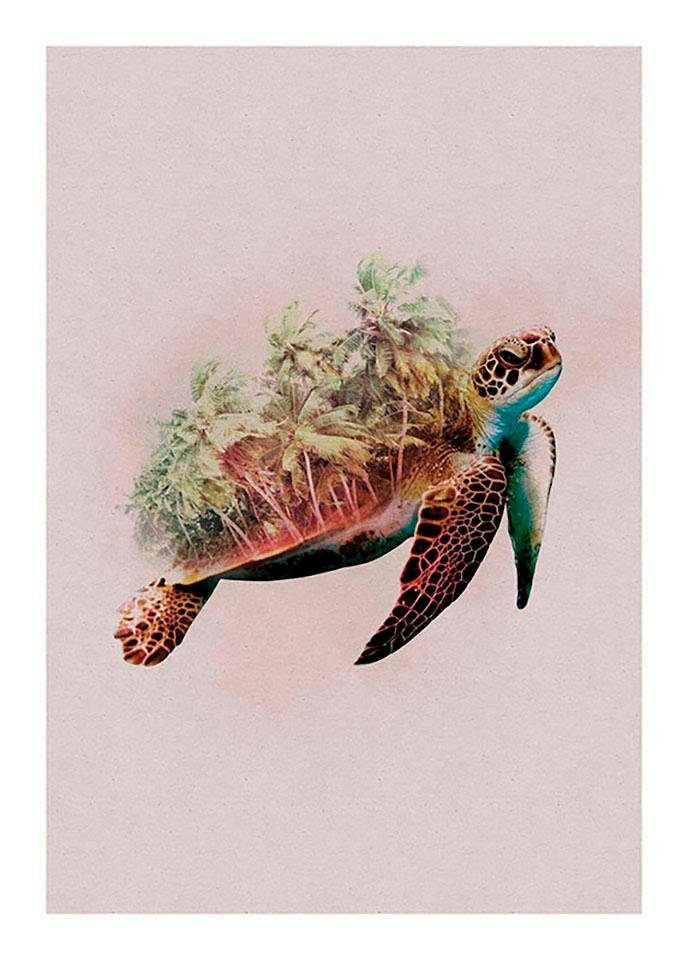 Komar Bild »Animals Paradise Turtle« Tiere 1 Stk. tlg. Wandbild zur Dekoration - ohne Rahmen