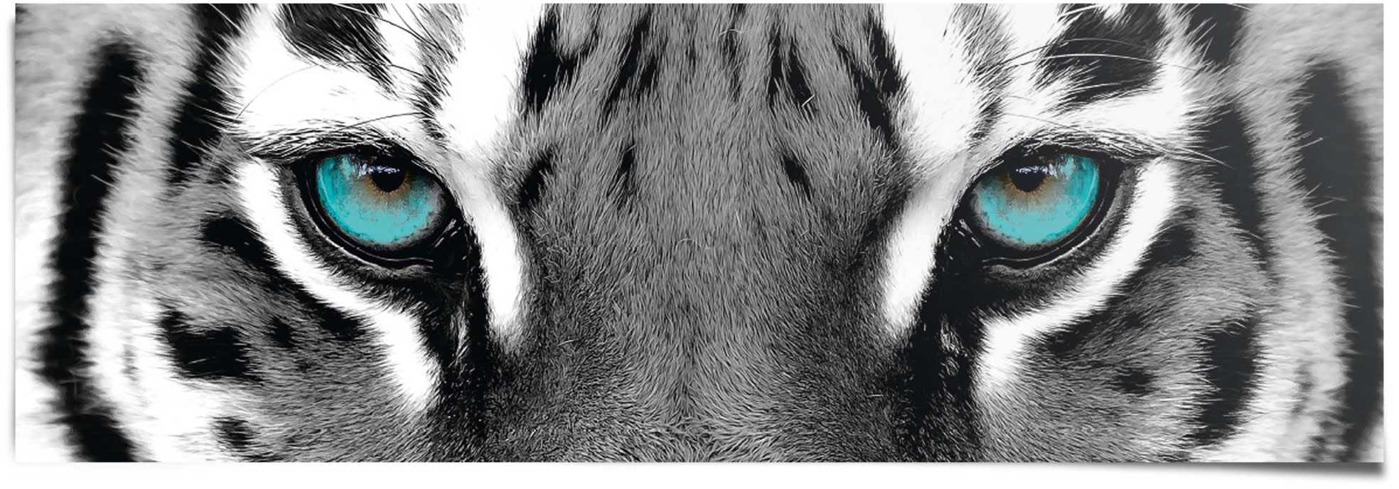 auf Reinders! Rechnung »Sibirischer kaufen Poster Tiger«