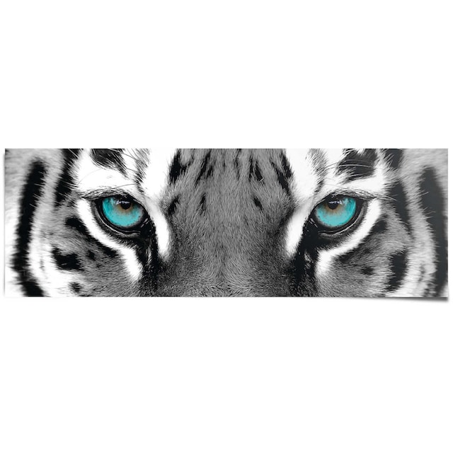 Reinders! Poster »Sibirischer Tiger« auf Rechnung kaufen