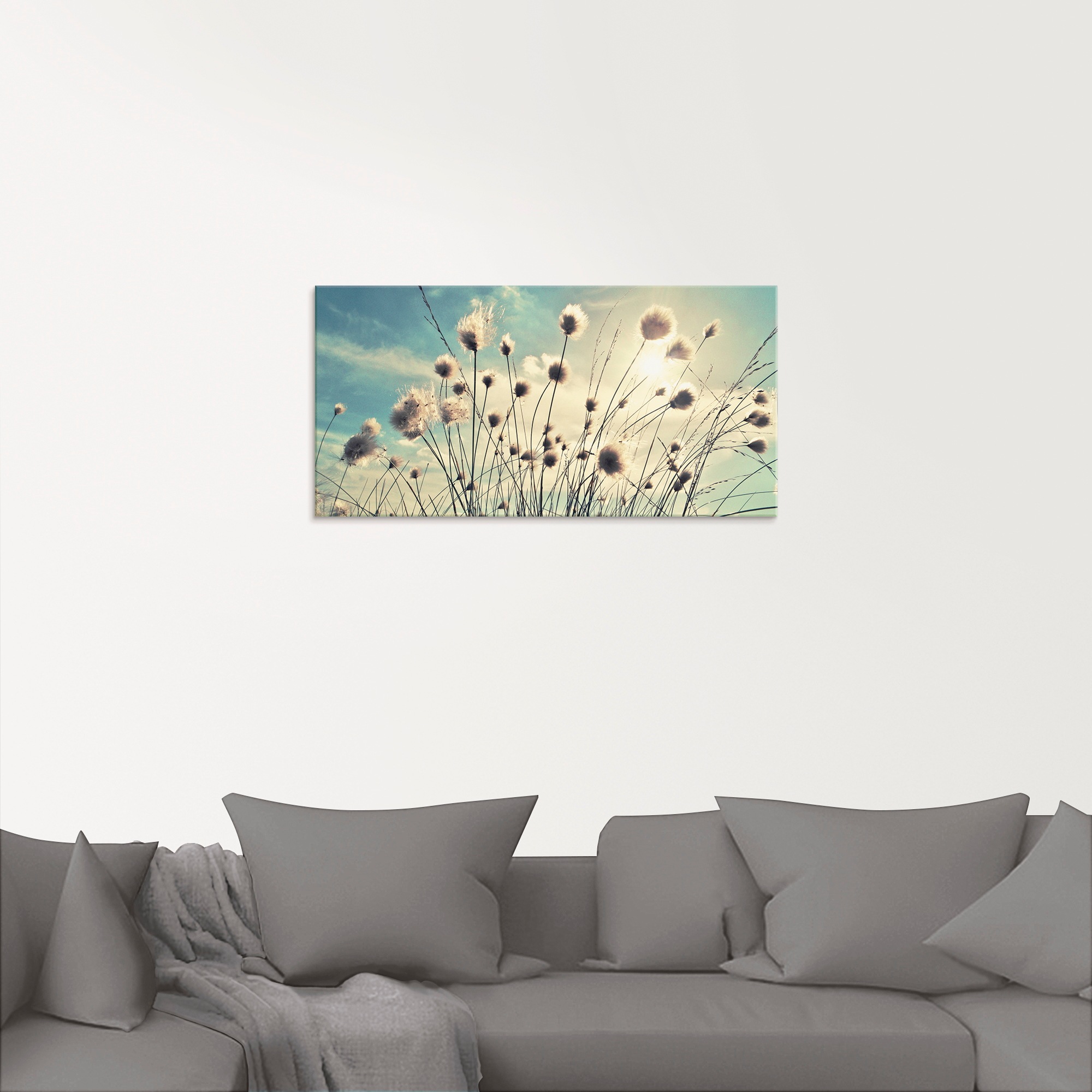 Artland Glasbild »Wollgras«, Gräser, (1 St.), in verschiedenen Größen günstig online kaufen