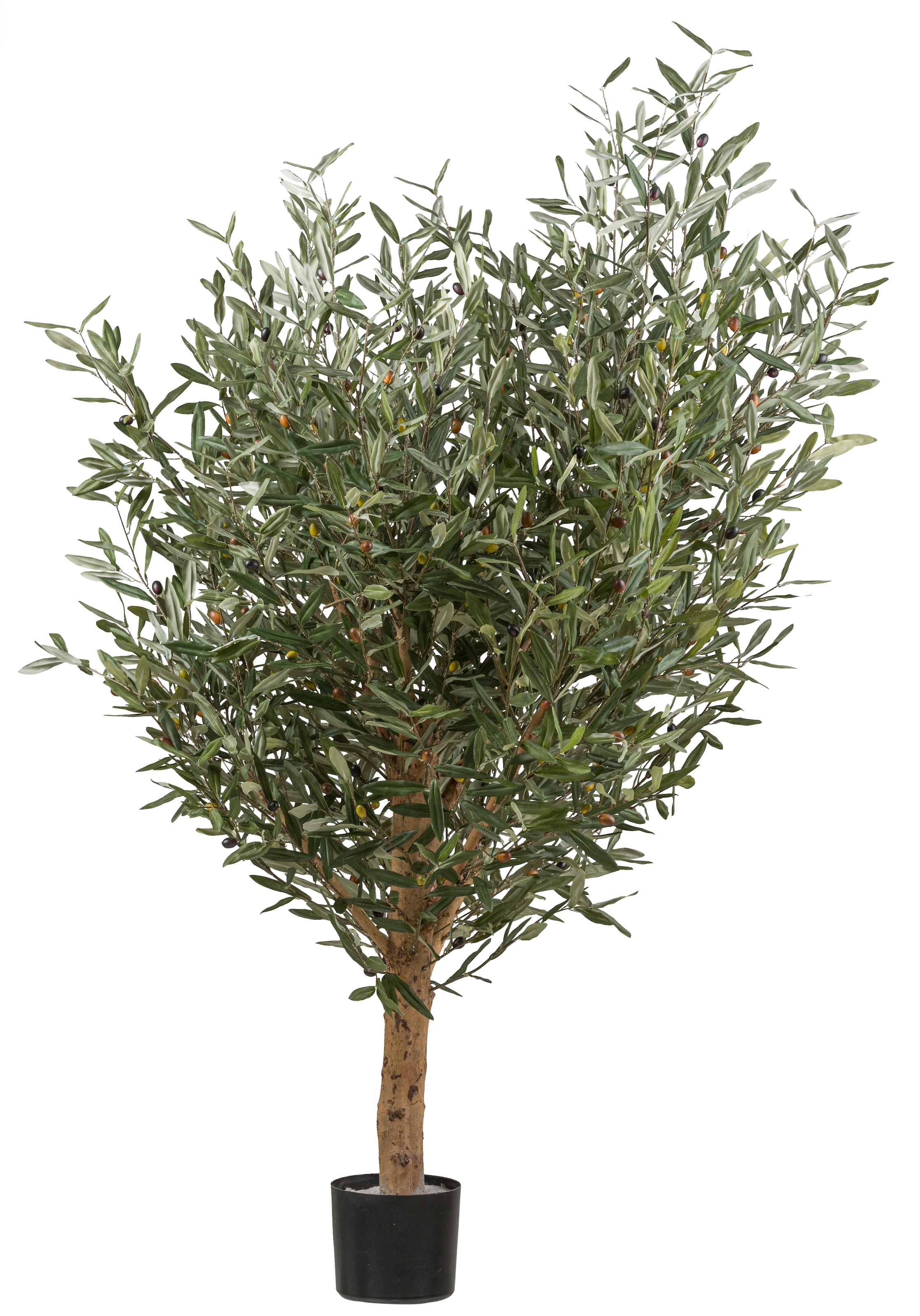 Creativ green Kunstbaum »Olive«, mit echtem Holzstamm günstig online kaufen