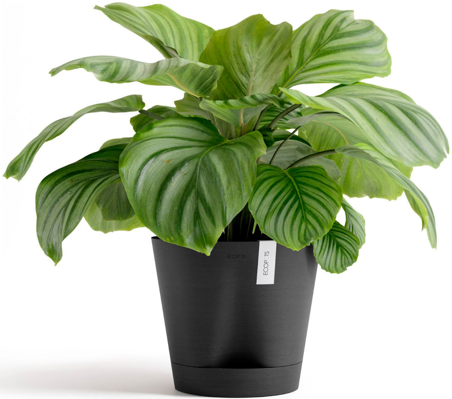 ECOPOTS Blumentopf »Venice 2 30 Dunkelgrau« für den Innenbereich