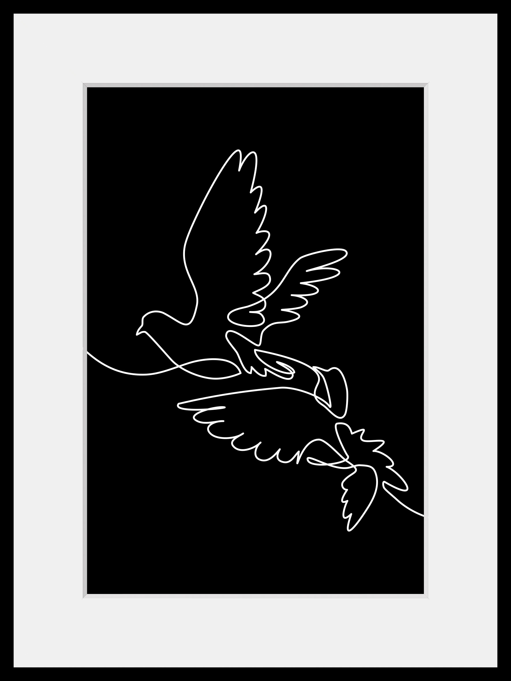 queence Bild »Gezeichnete Taube«, Kunst-Schwarz-Weiß-Vögel-Vogelbilder, (1 günstig online kaufen