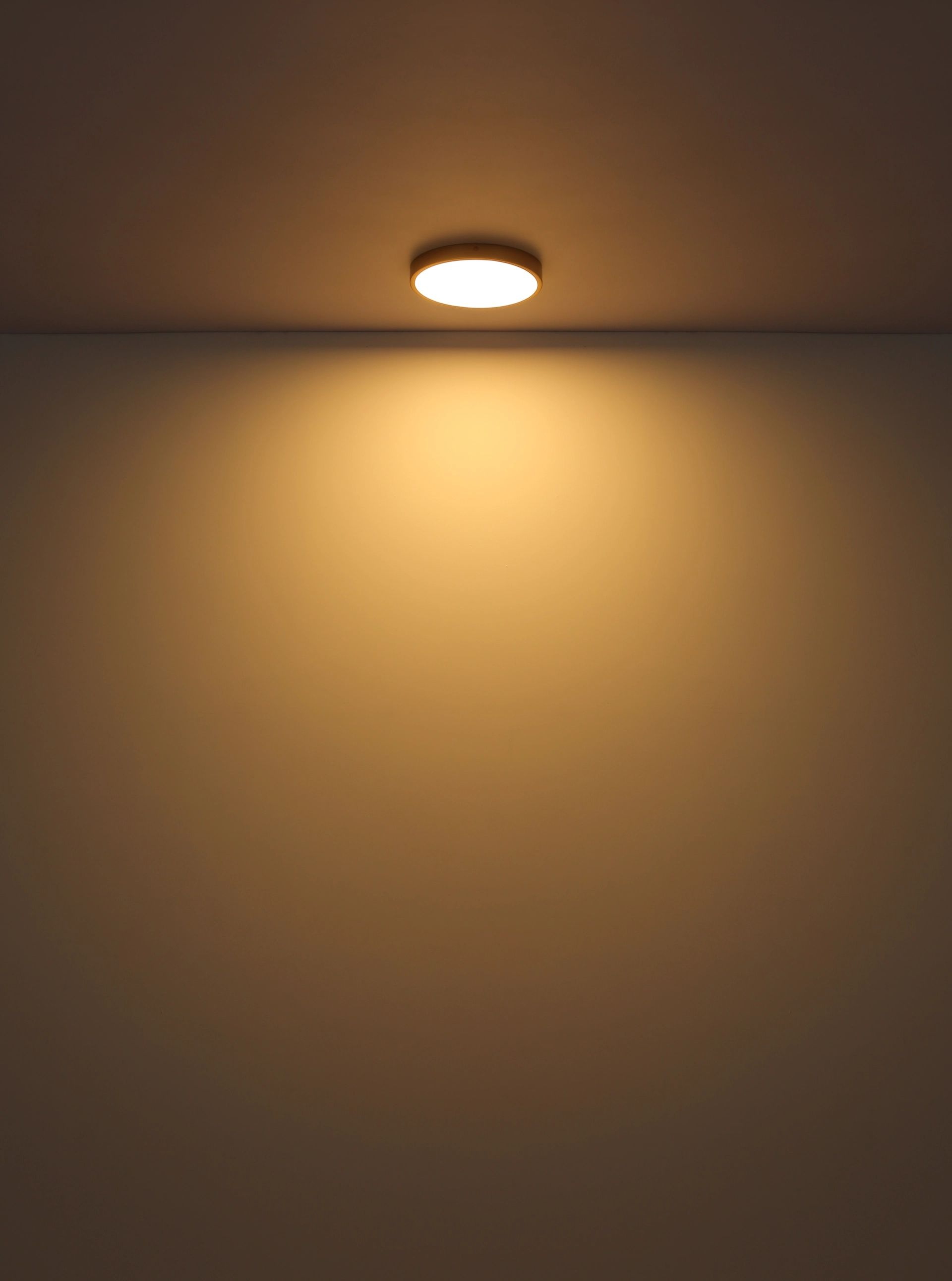 GLOBO LIGHTING Deckenleuchte »TIBEY«, Leuchtmittel LED-Modul   LED fest int günstig online kaufen